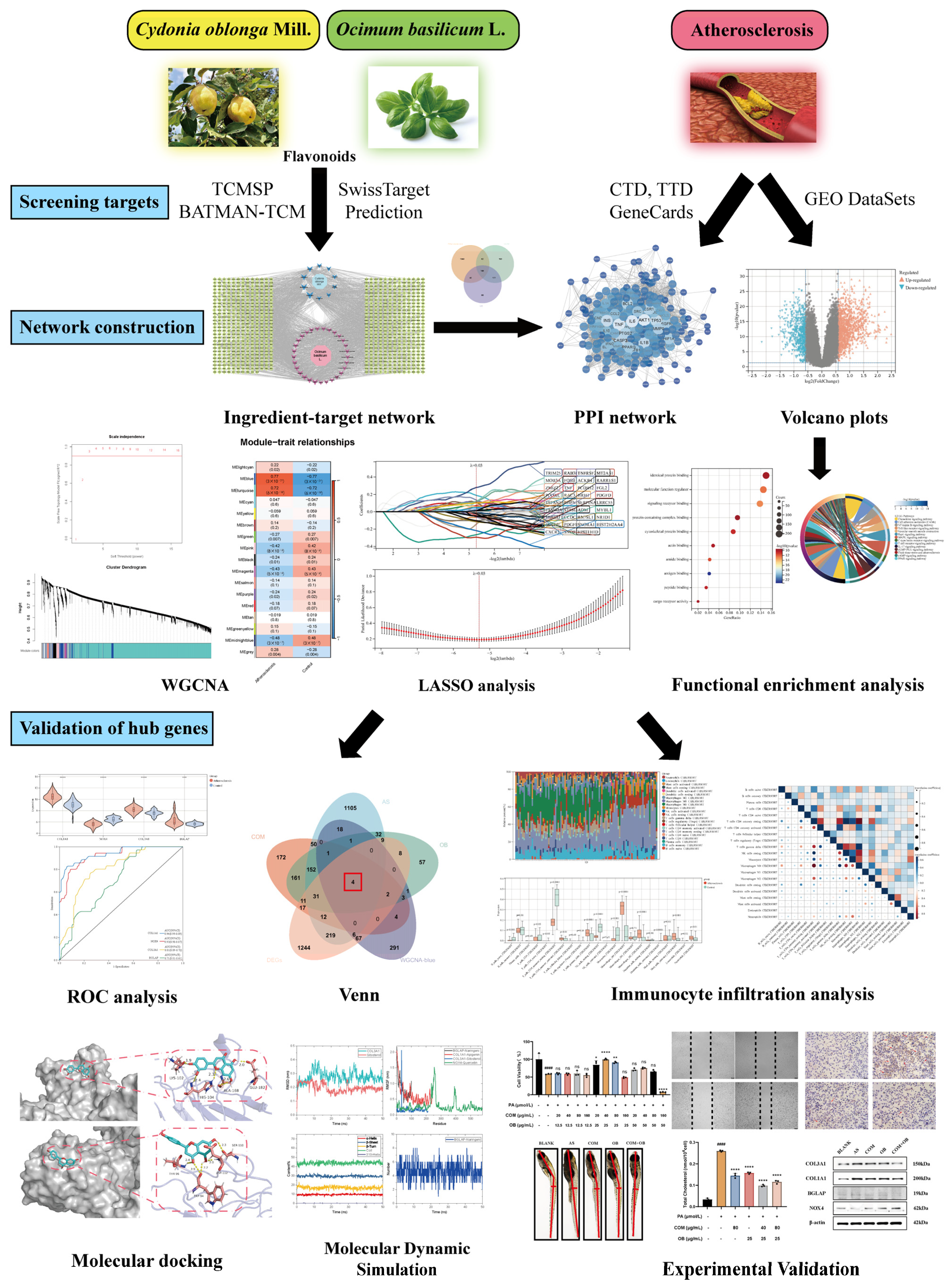 Pharmaceuticals 17 01433 g001