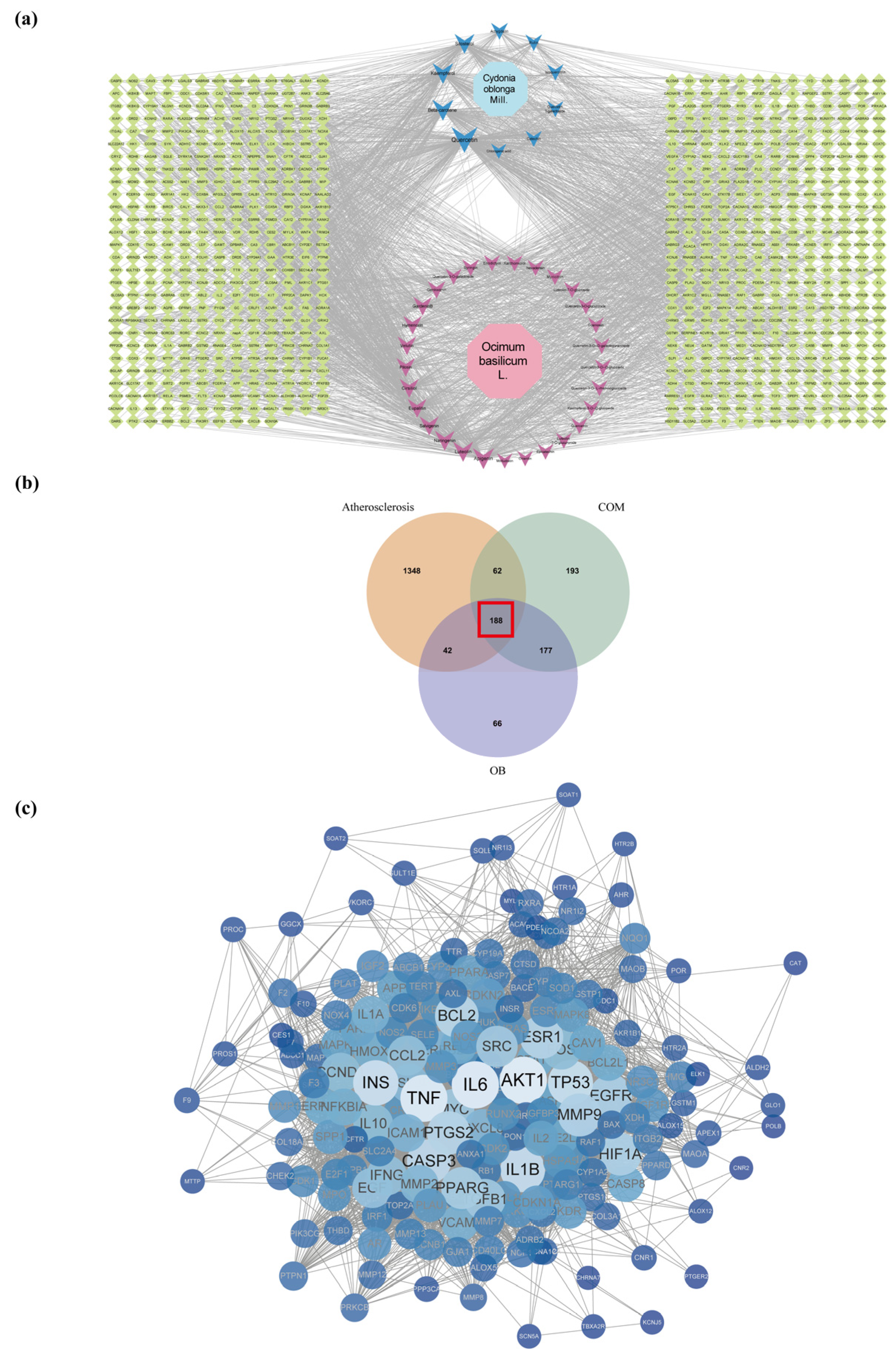 Pharmaceuticals 17 01433 g002