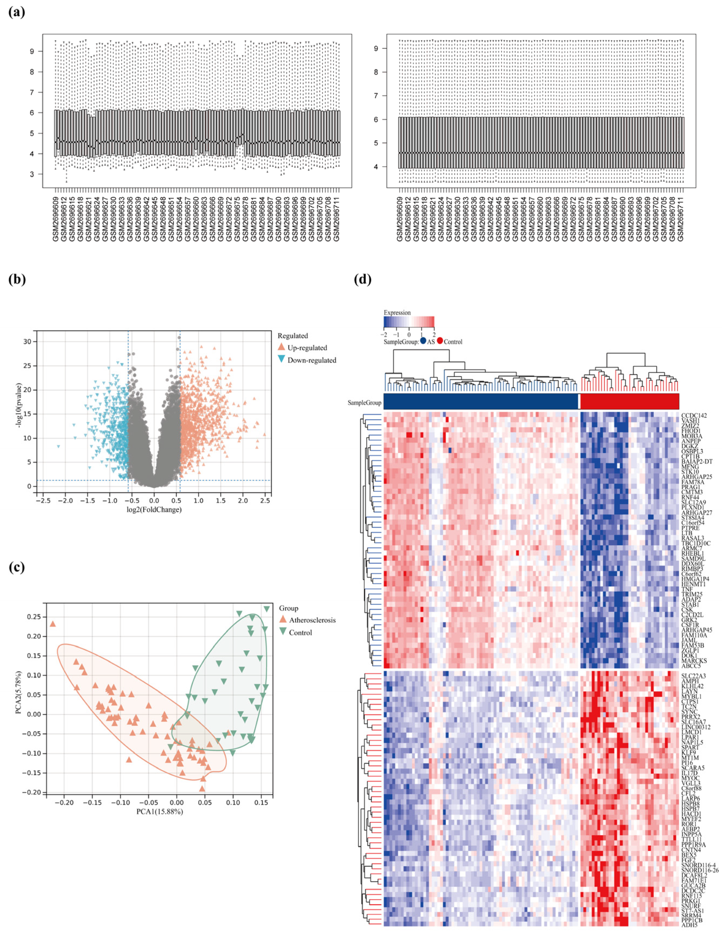 Pharmaceuticals 17 01433 g003