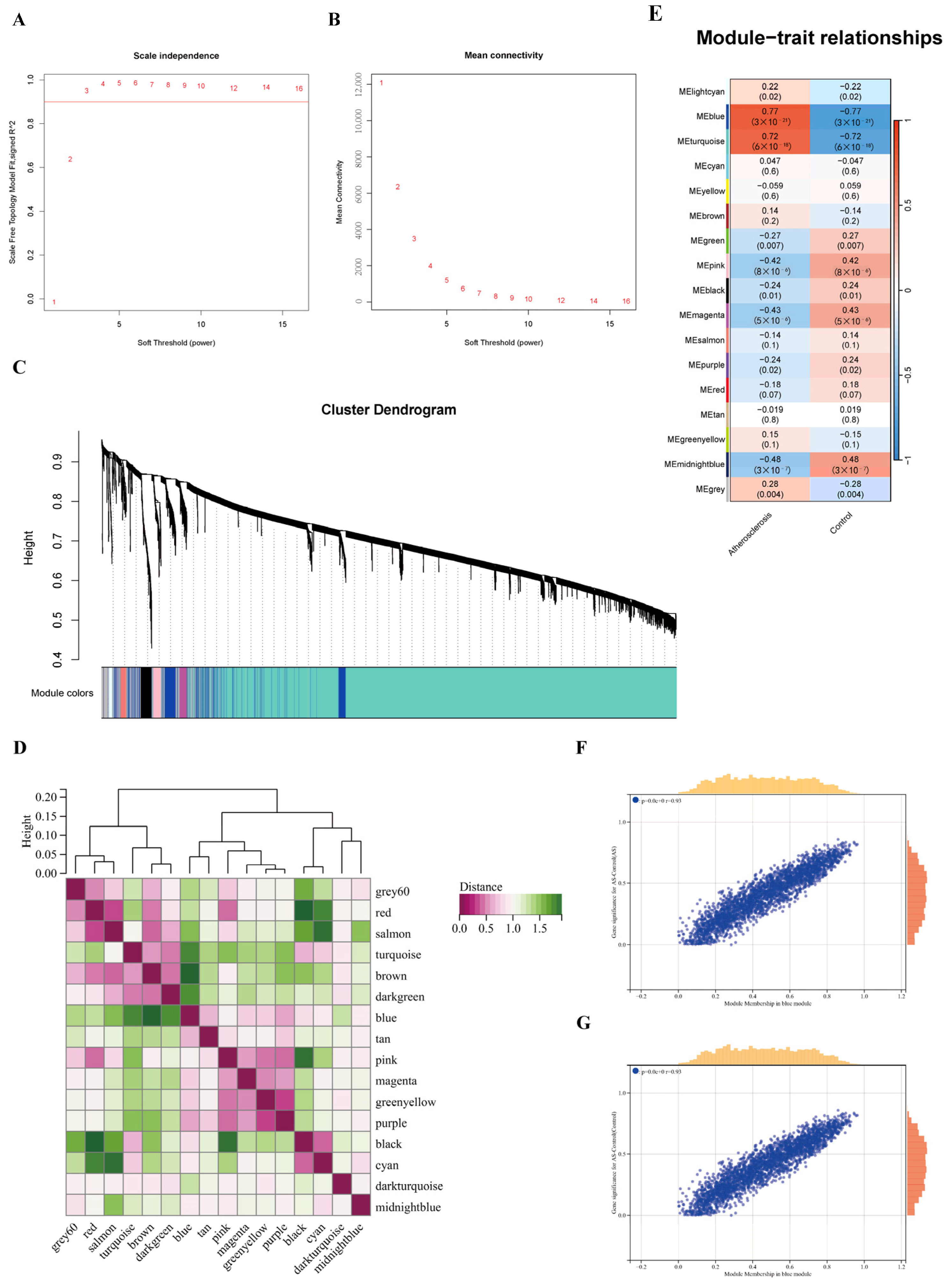Pharmaceuticals 17 01433 g005
