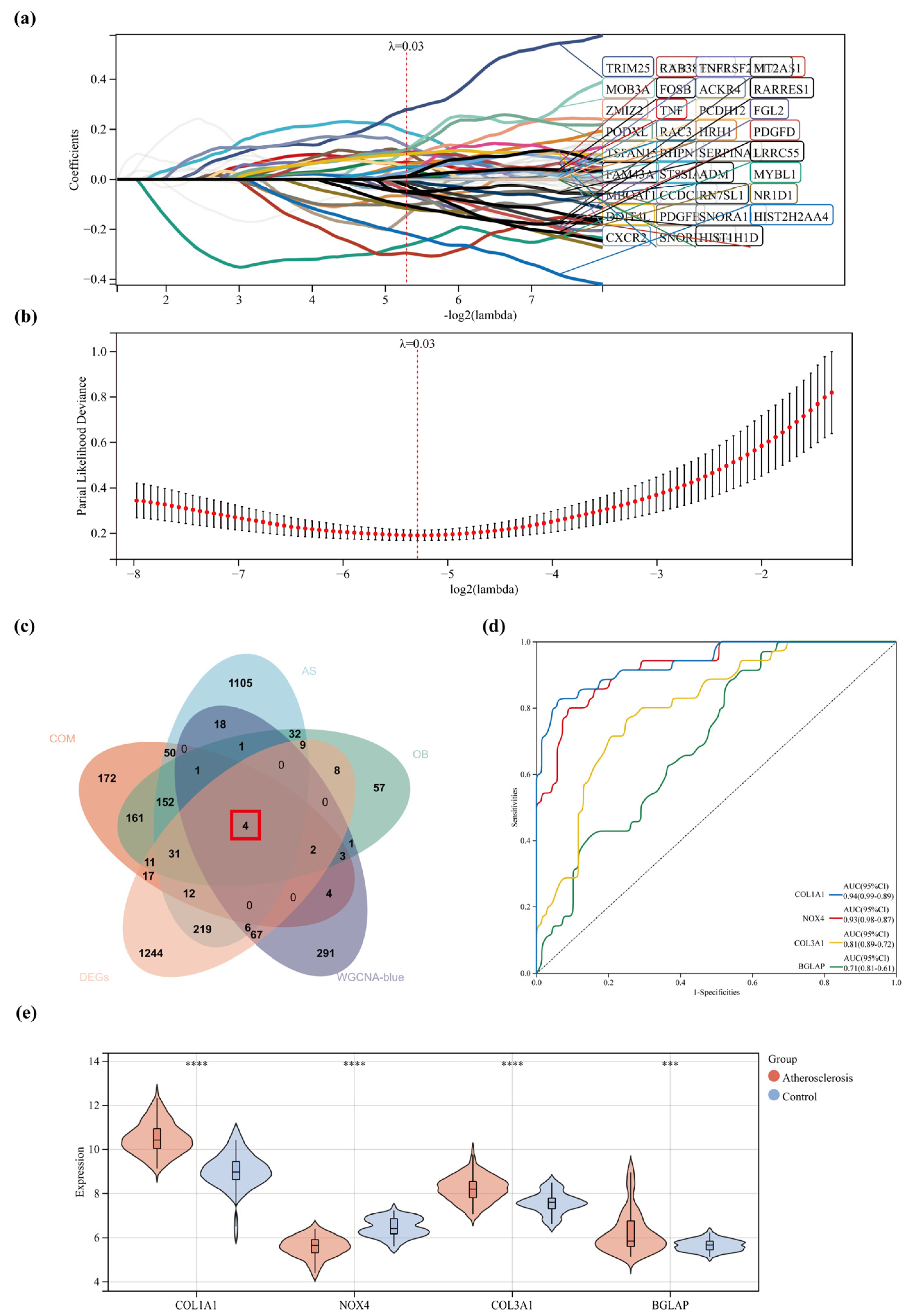 Pharmaceuticals 17 01433 g006
