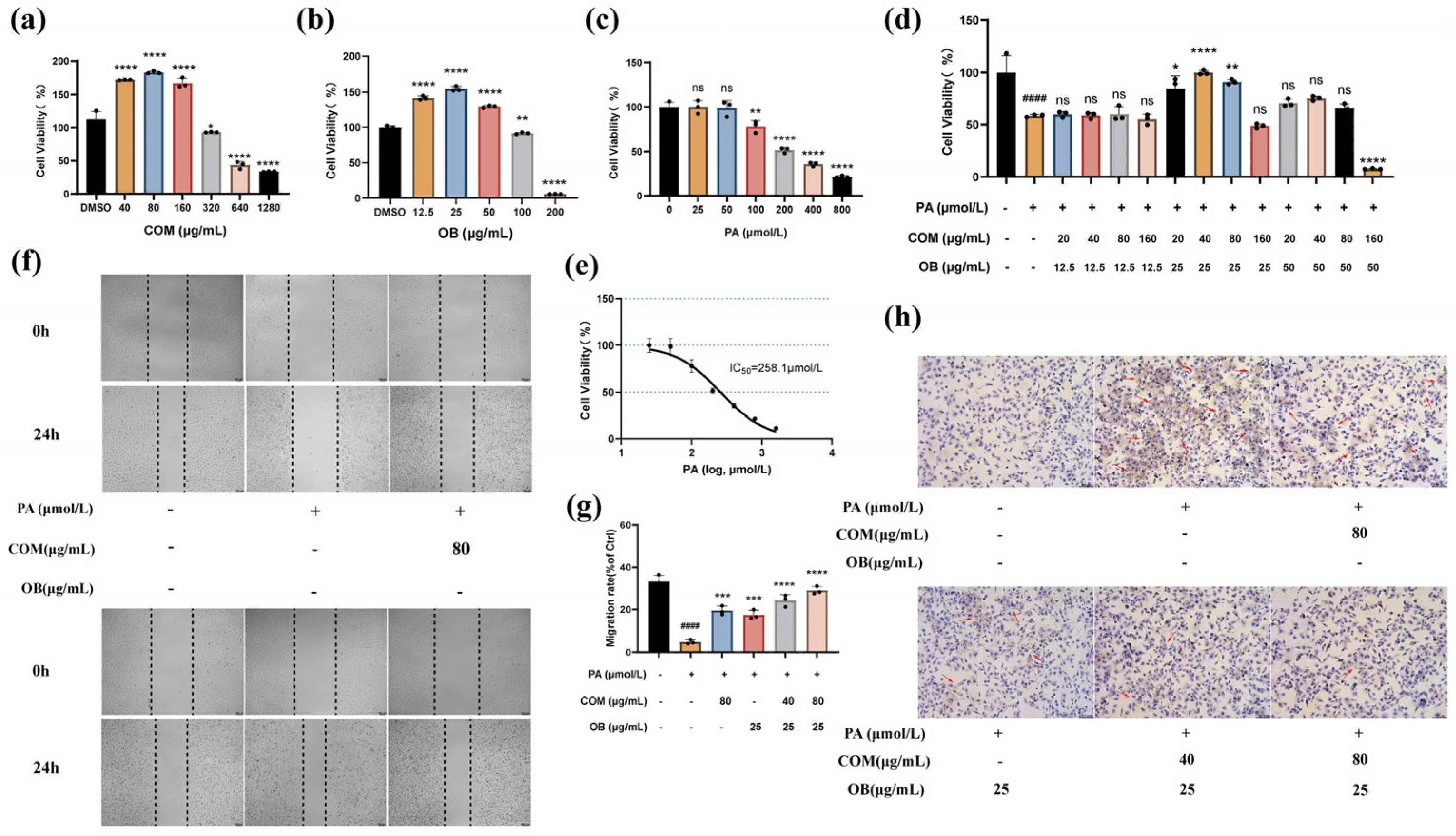 Pharmaceuticals 17 01433 g010