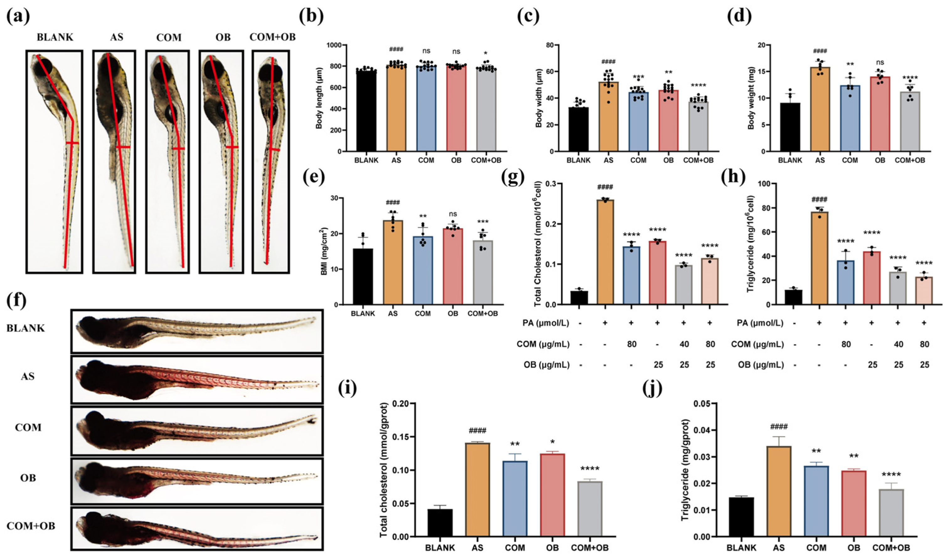 Pharmaceuticals 17 01433 g011