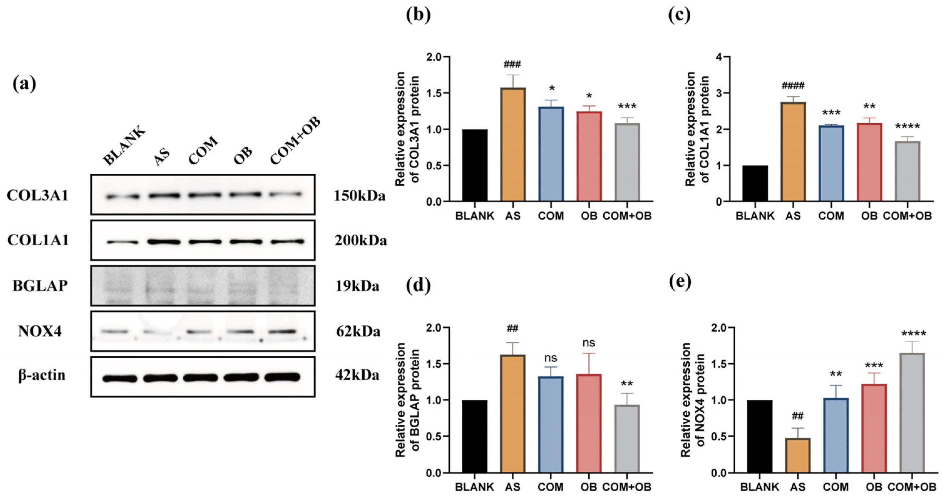 Pharmaceuticals 17 01433 g012