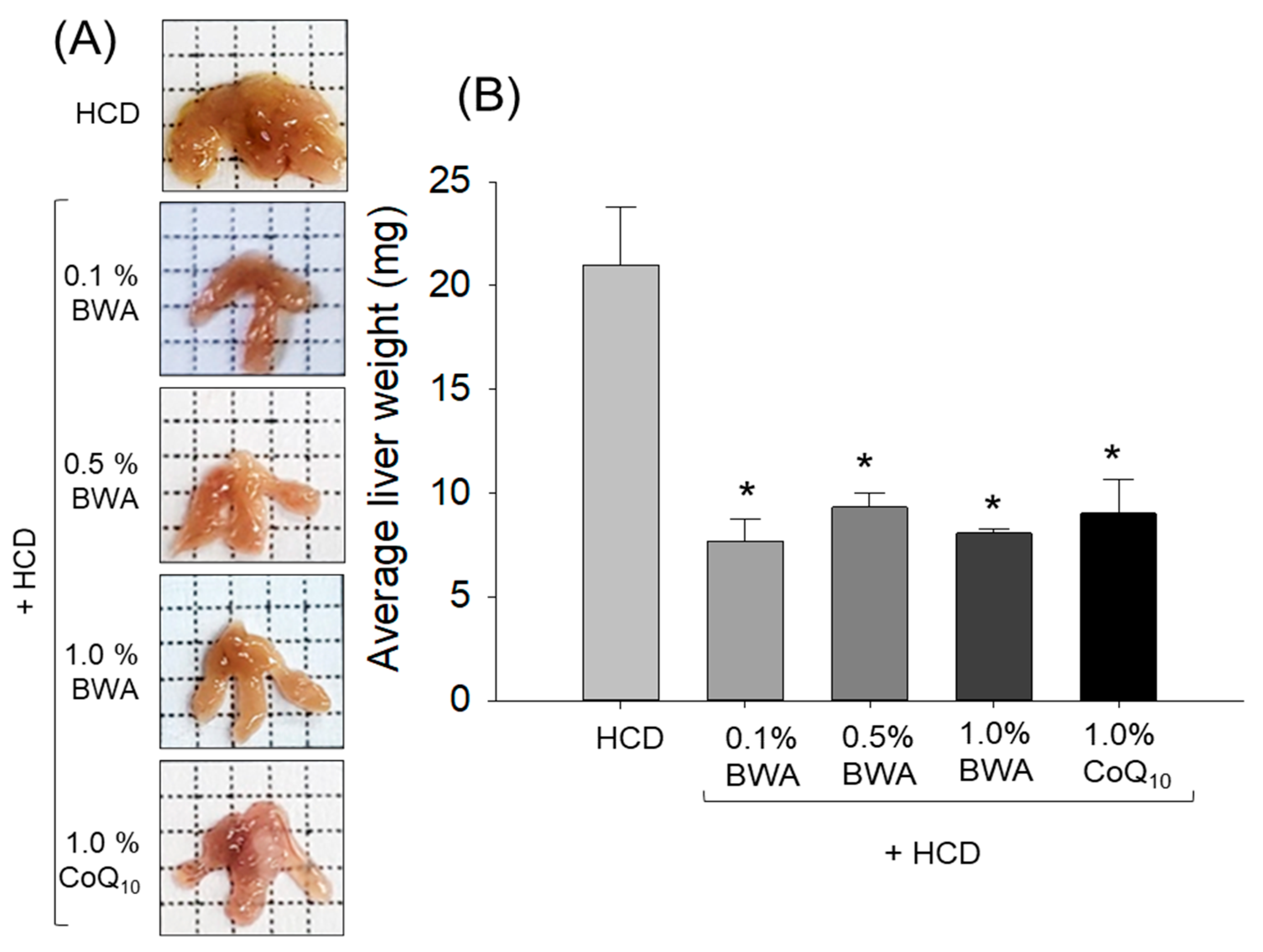 Pharmaceuticals 17 01434 g004 Pharmaceuticals 17 01434 g004
