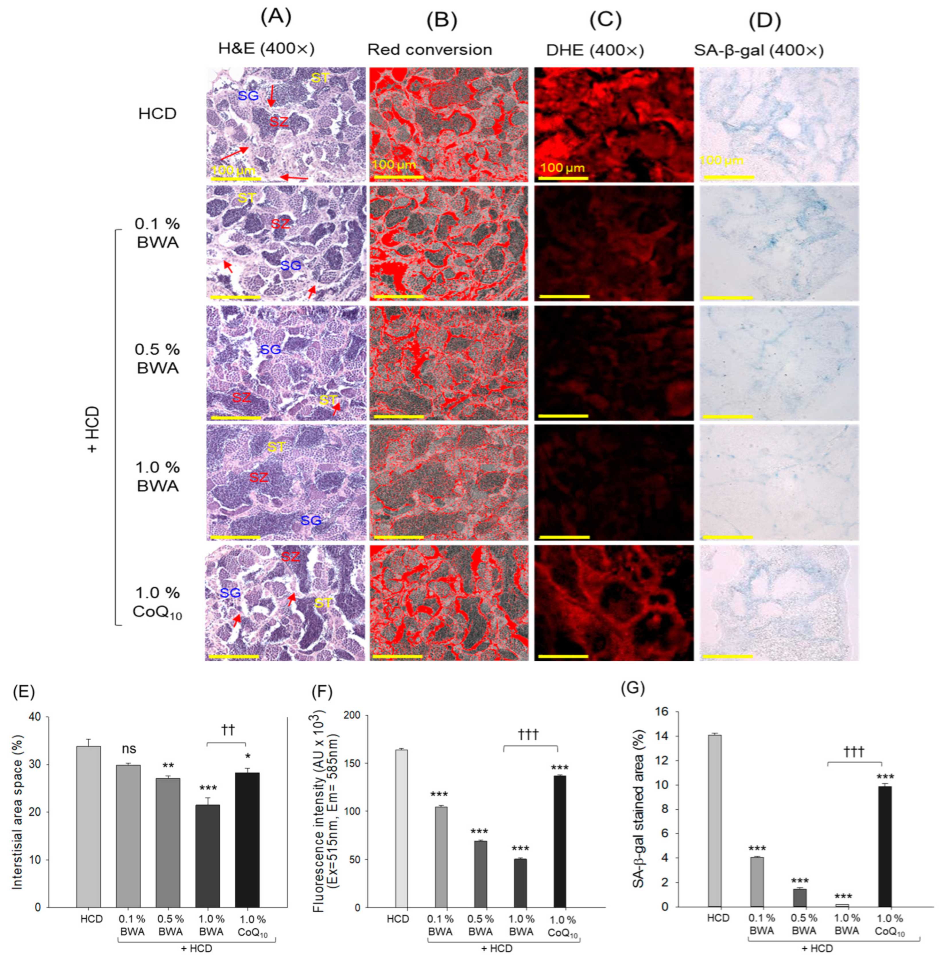 Pharmaceuticals 17 01434 g008 Pharmaceuticals 17 01434 g008