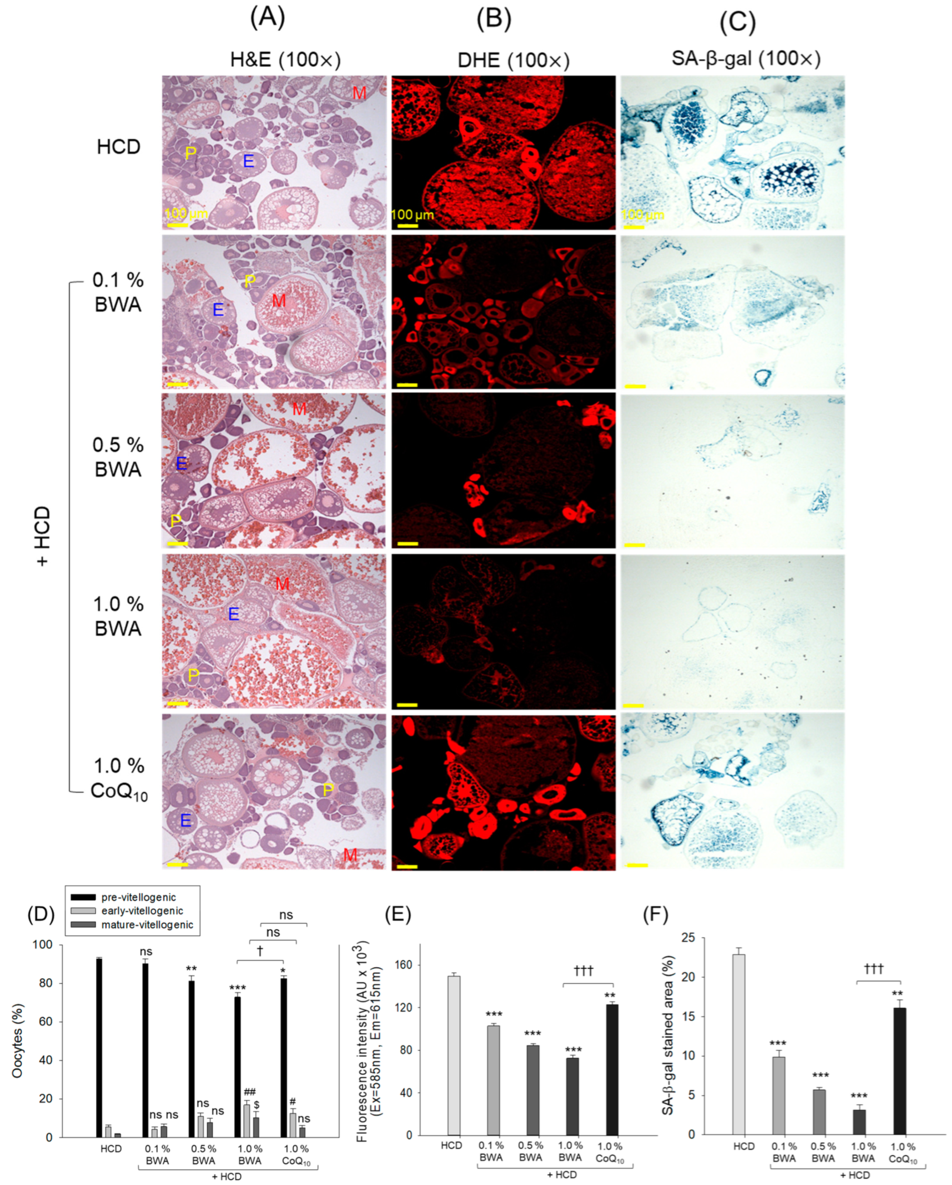 Pharmaceuticals 17 01434 g009 Pharmaceuticals 17 01434 g009