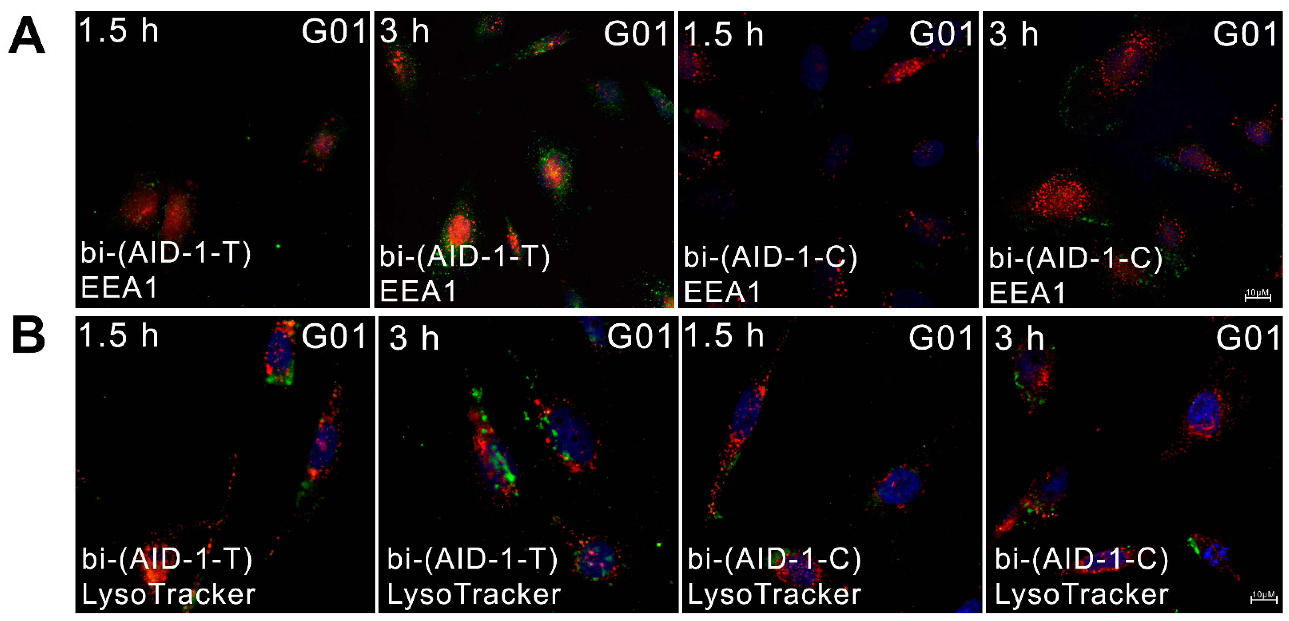 Pharmaceuticals 17 01435 g005 Pharmaceuticals 17 01435 g005