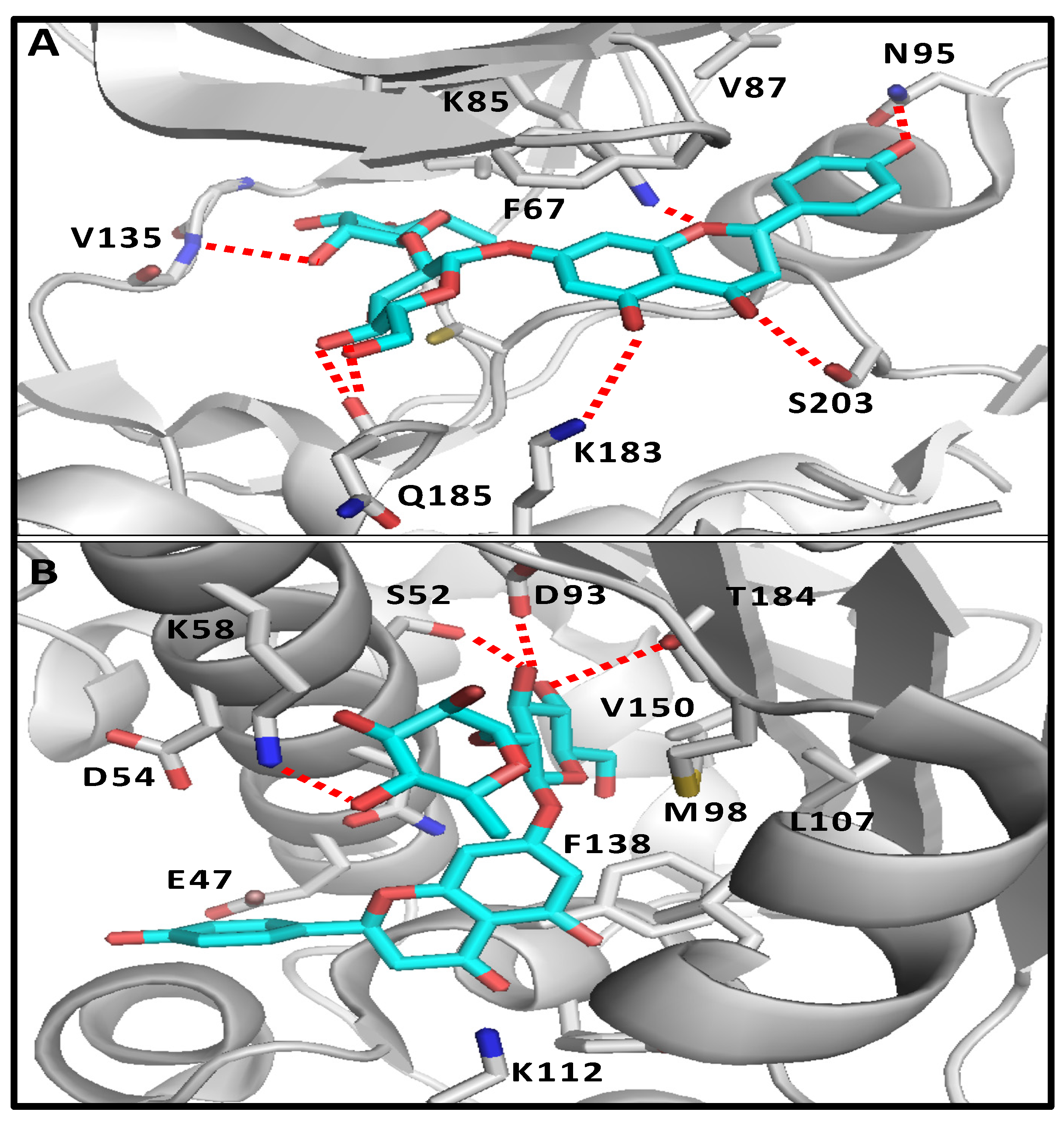 Pharmaceuticals 17 01436 g001