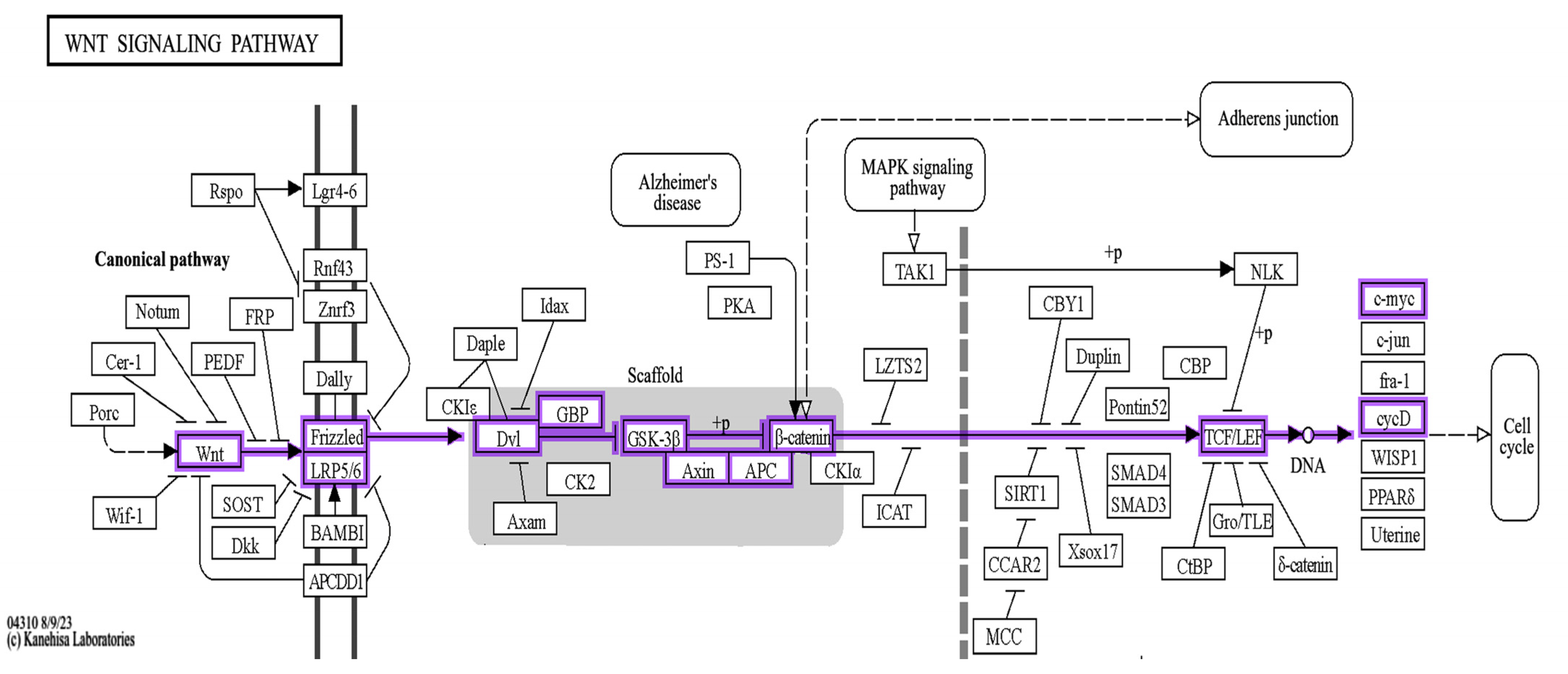 Pharmaceuticals 17 01436 g004