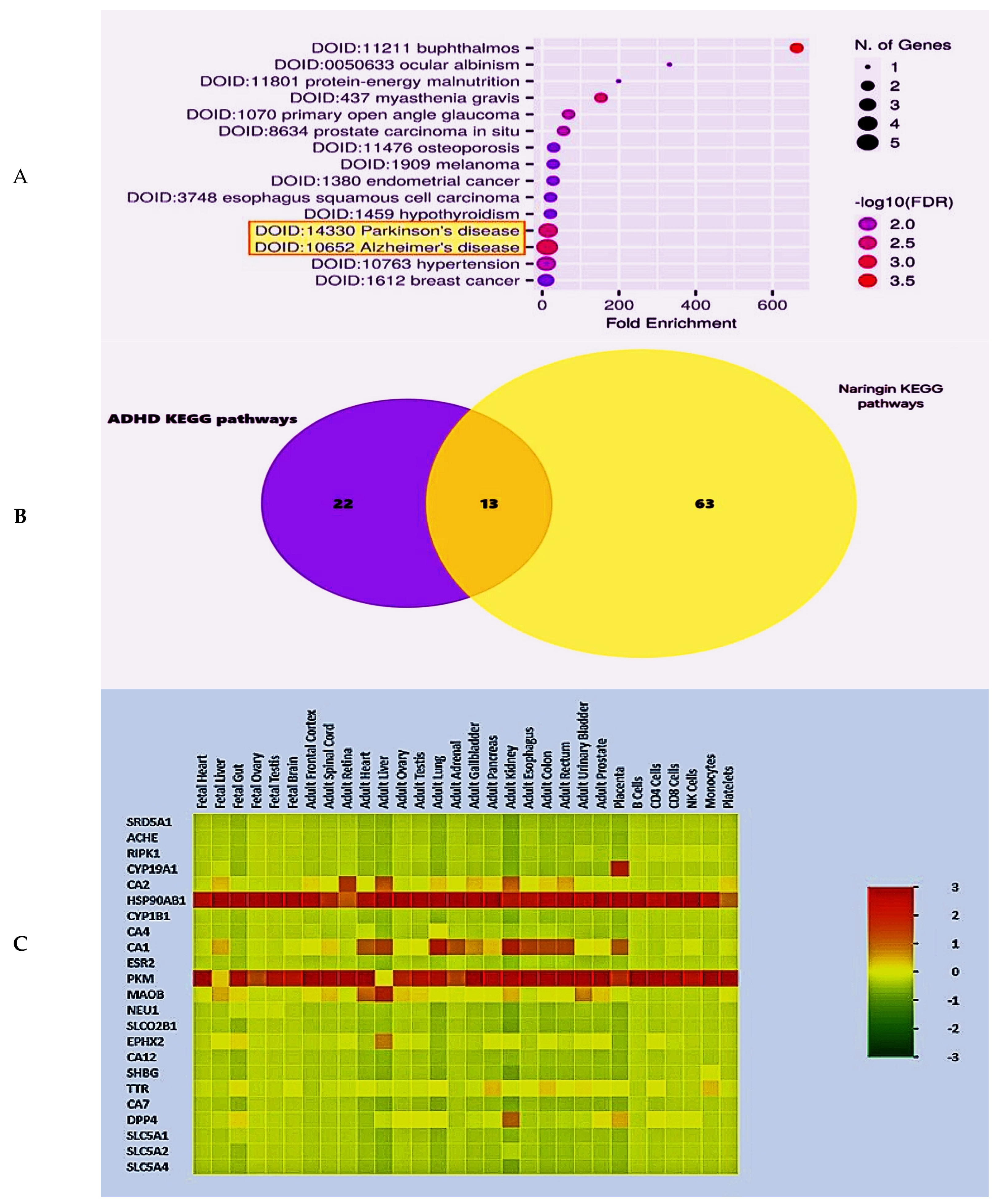 Pharmaceuticals 17 01436 g006