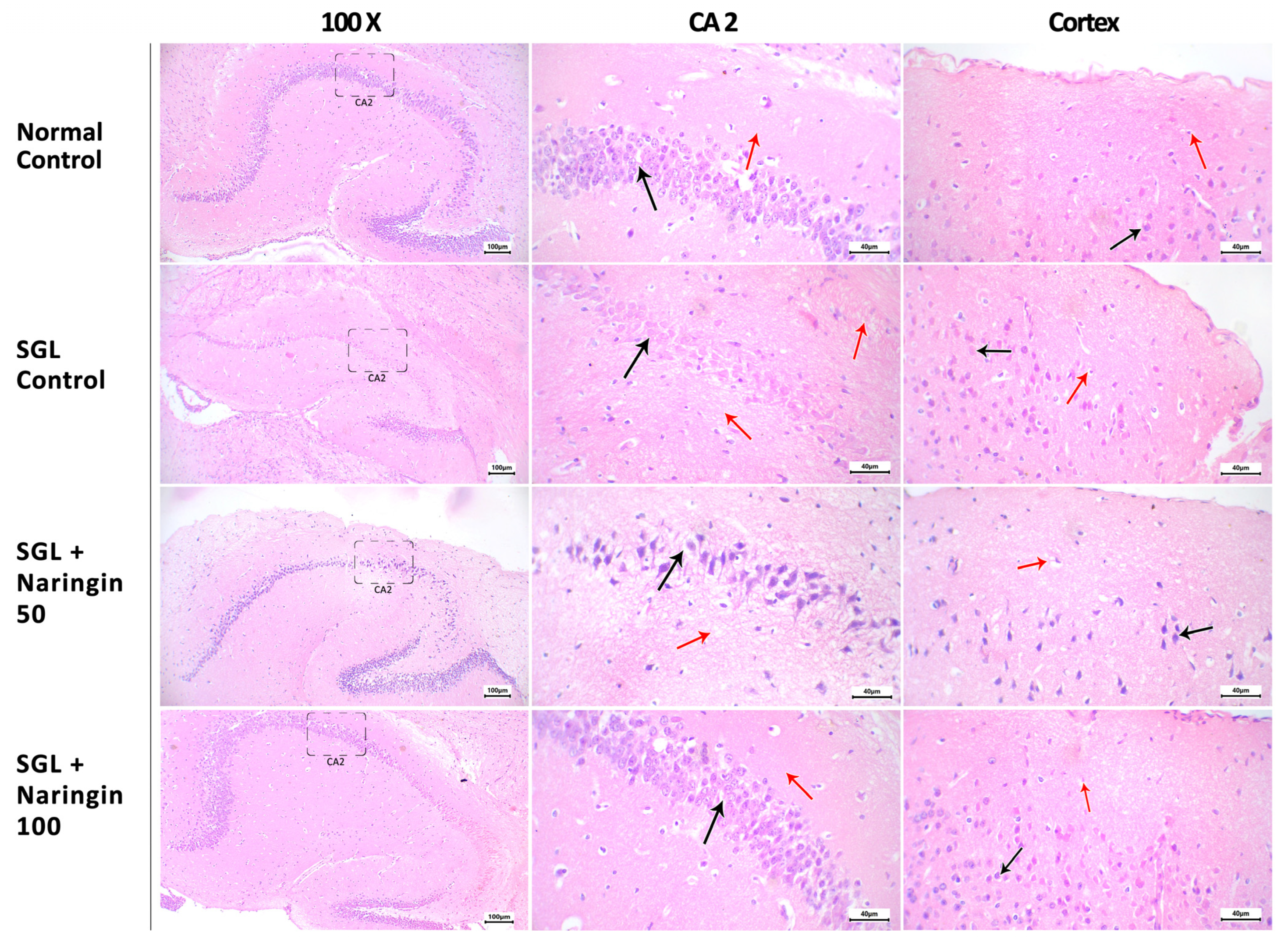 Pharmaceuticals 17 01436 g010