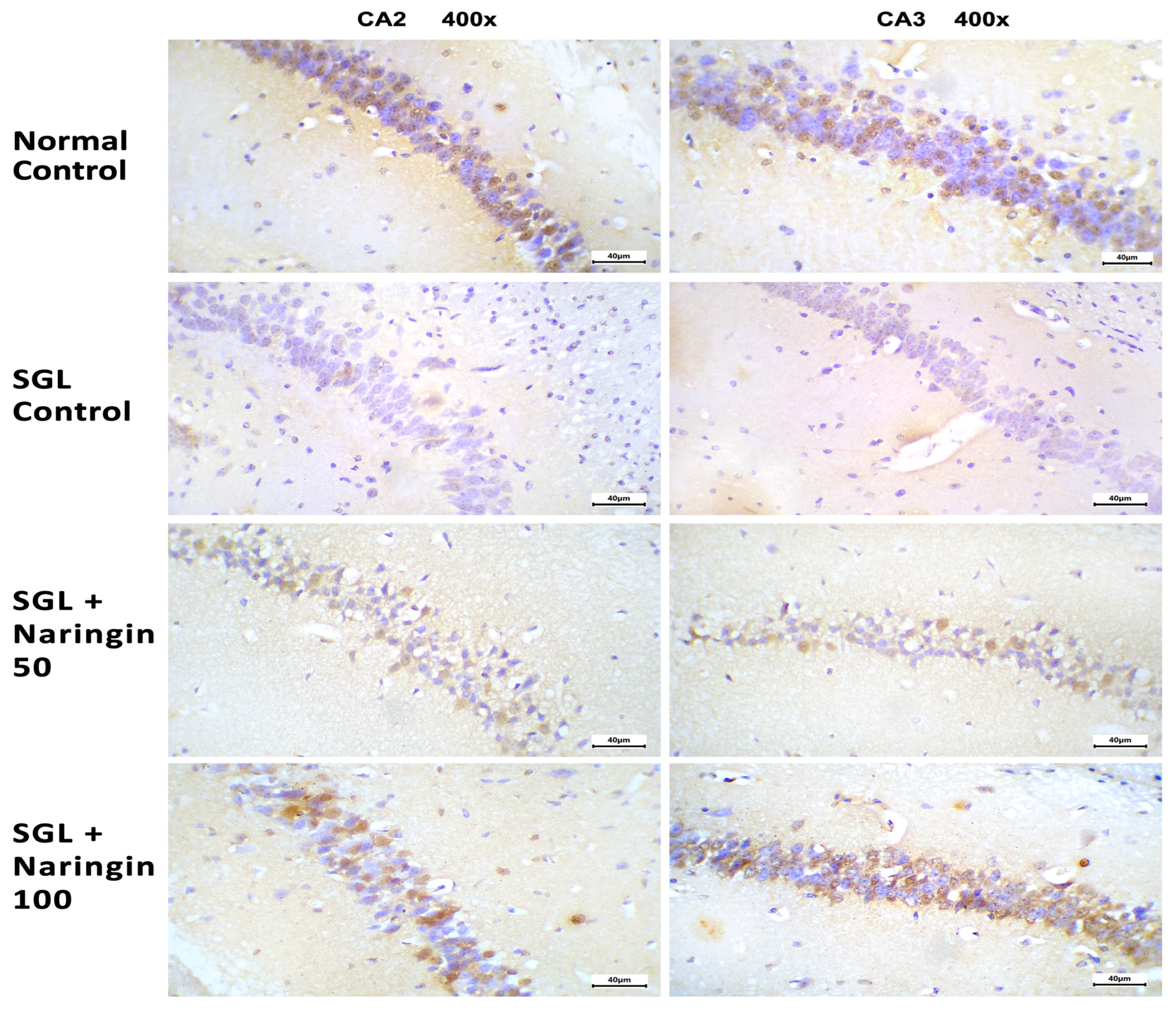 Pharmaceuticals 17 01436 g011