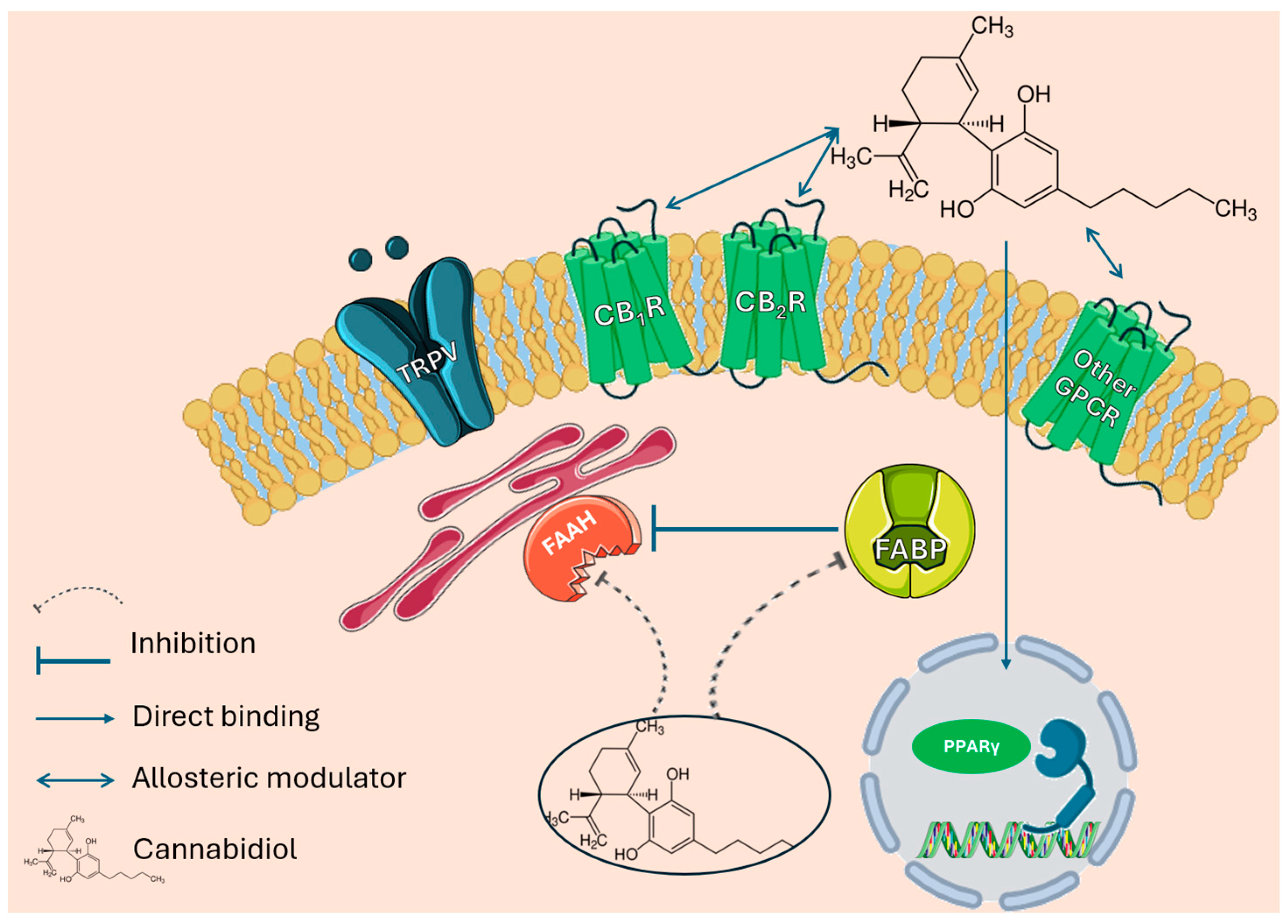 Pharmaceuticals 17 01438 g002