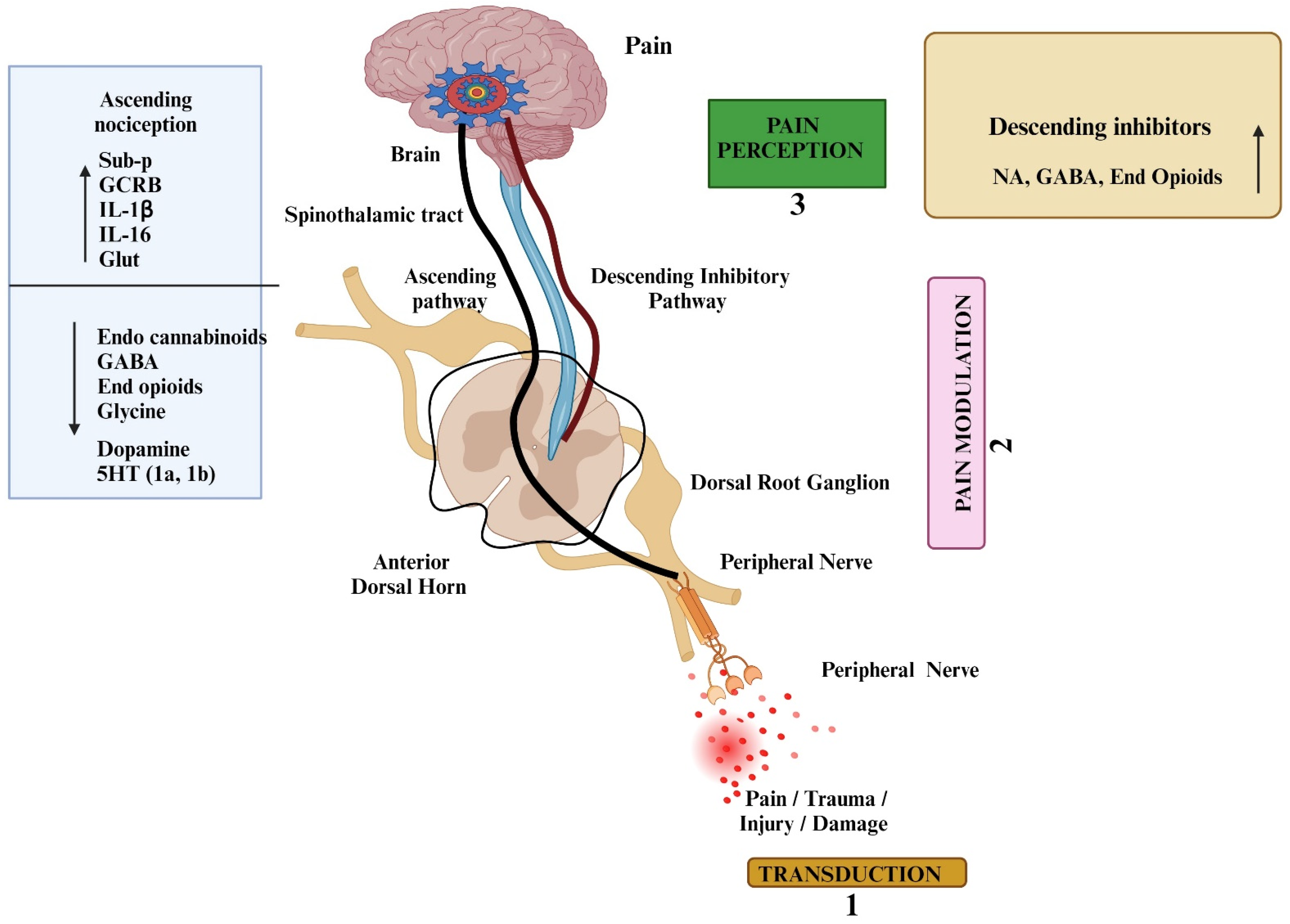 Pharmaceuticals 17 01439 g001 Pharmaceuticals 17 01439 g001