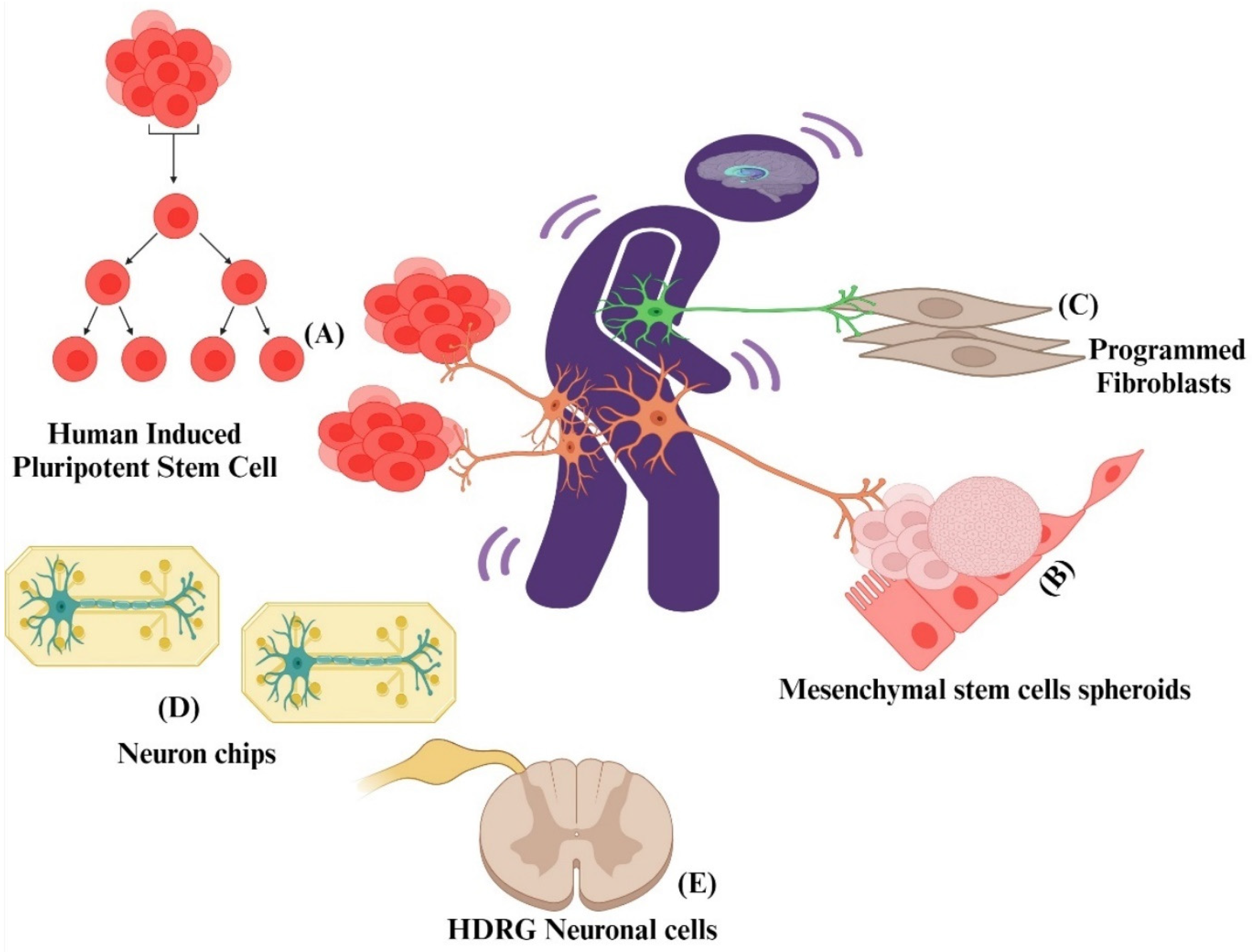 Pharmaceuticals 17 01439 g004 Pharmaceuticals 17 01439 g004