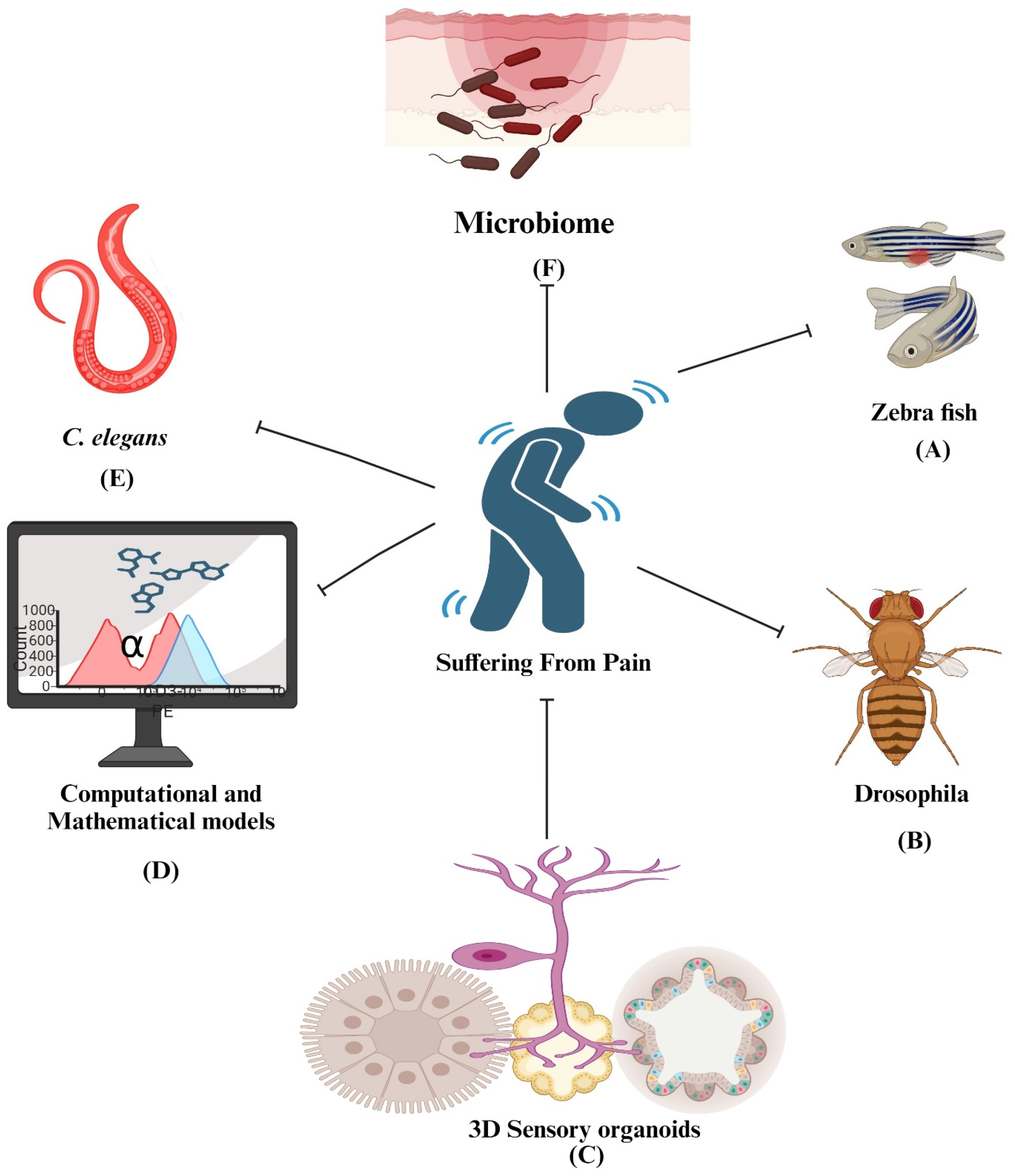 Pharmaceuticals 17 01439 g005 Pharmaceuticals 17 01439 g005