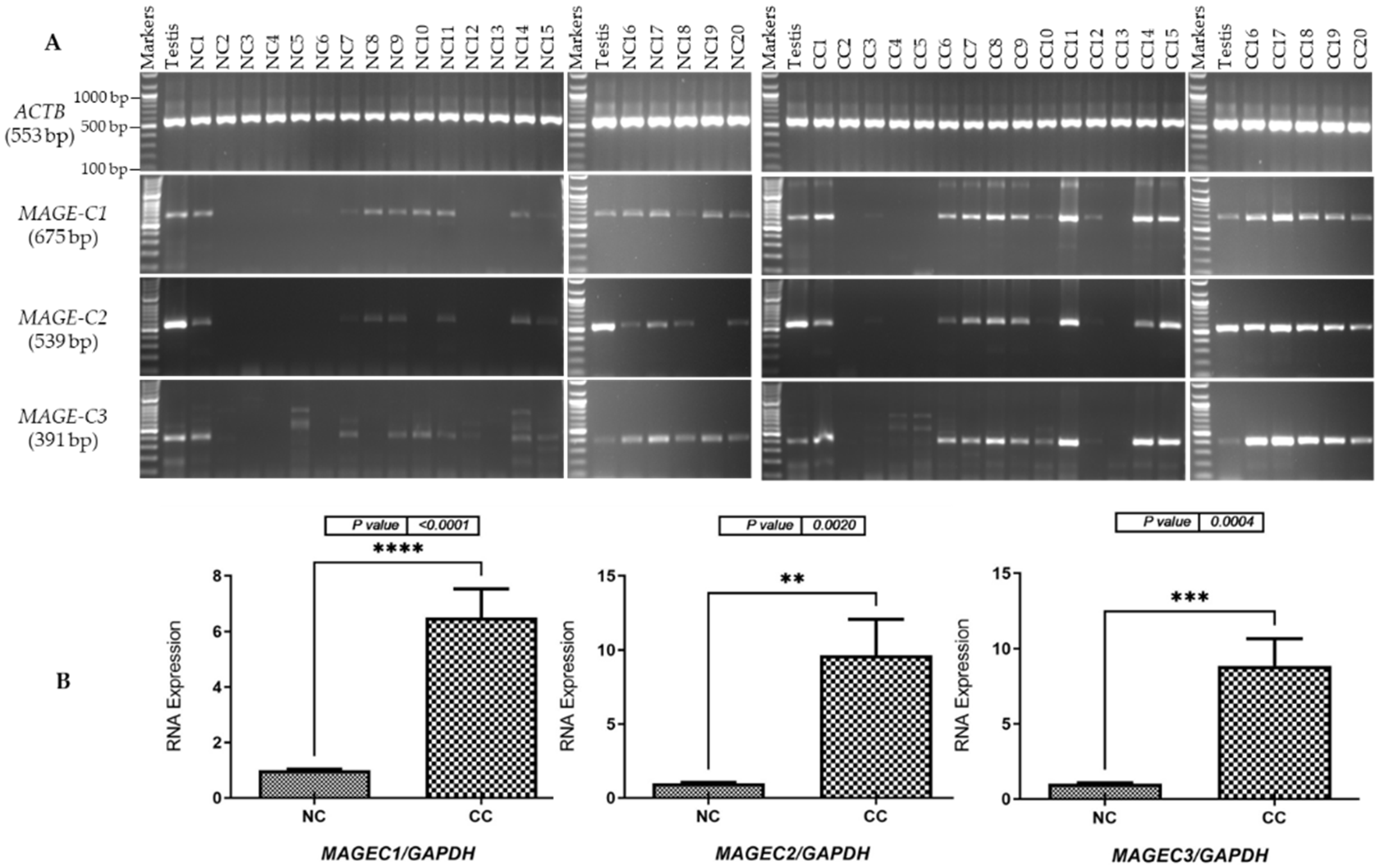Pharmaceuticals 17 01447 g001
