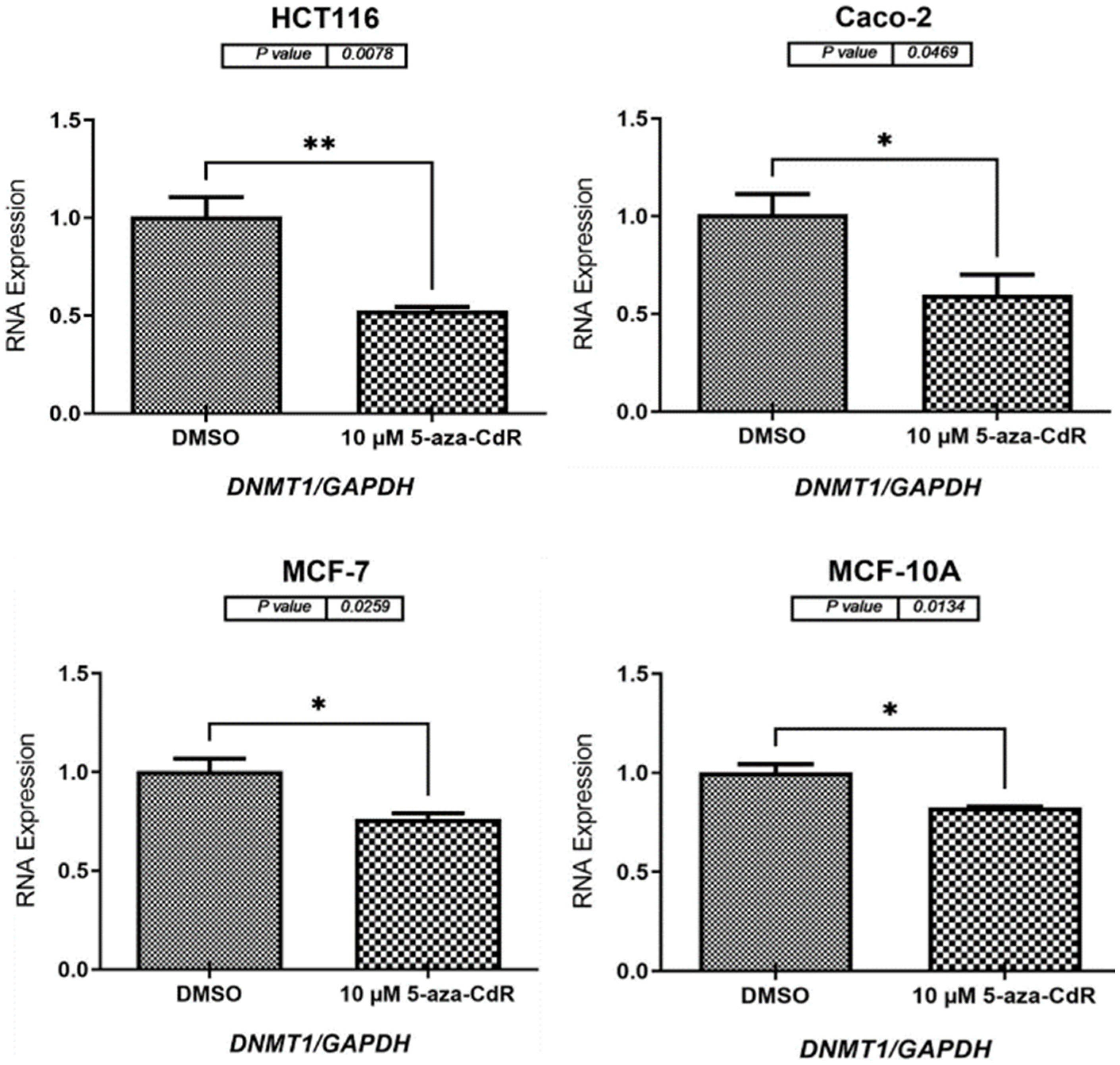 Pharmaceuticals 17 01447 g003