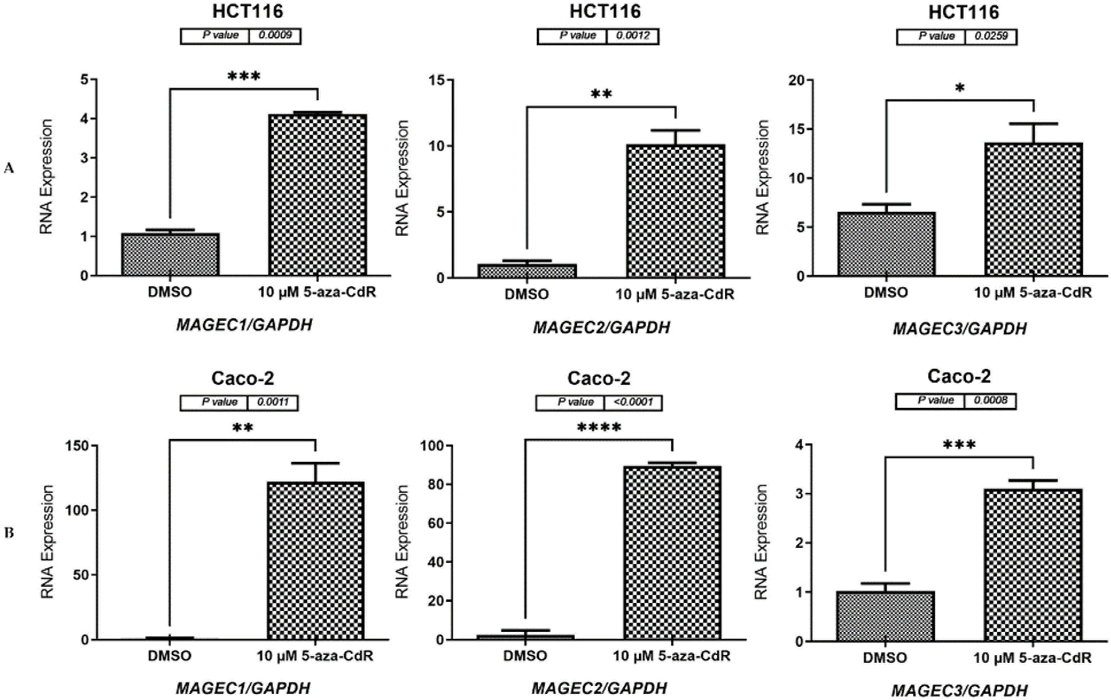 Pharmaceuticals 17 01447 g004