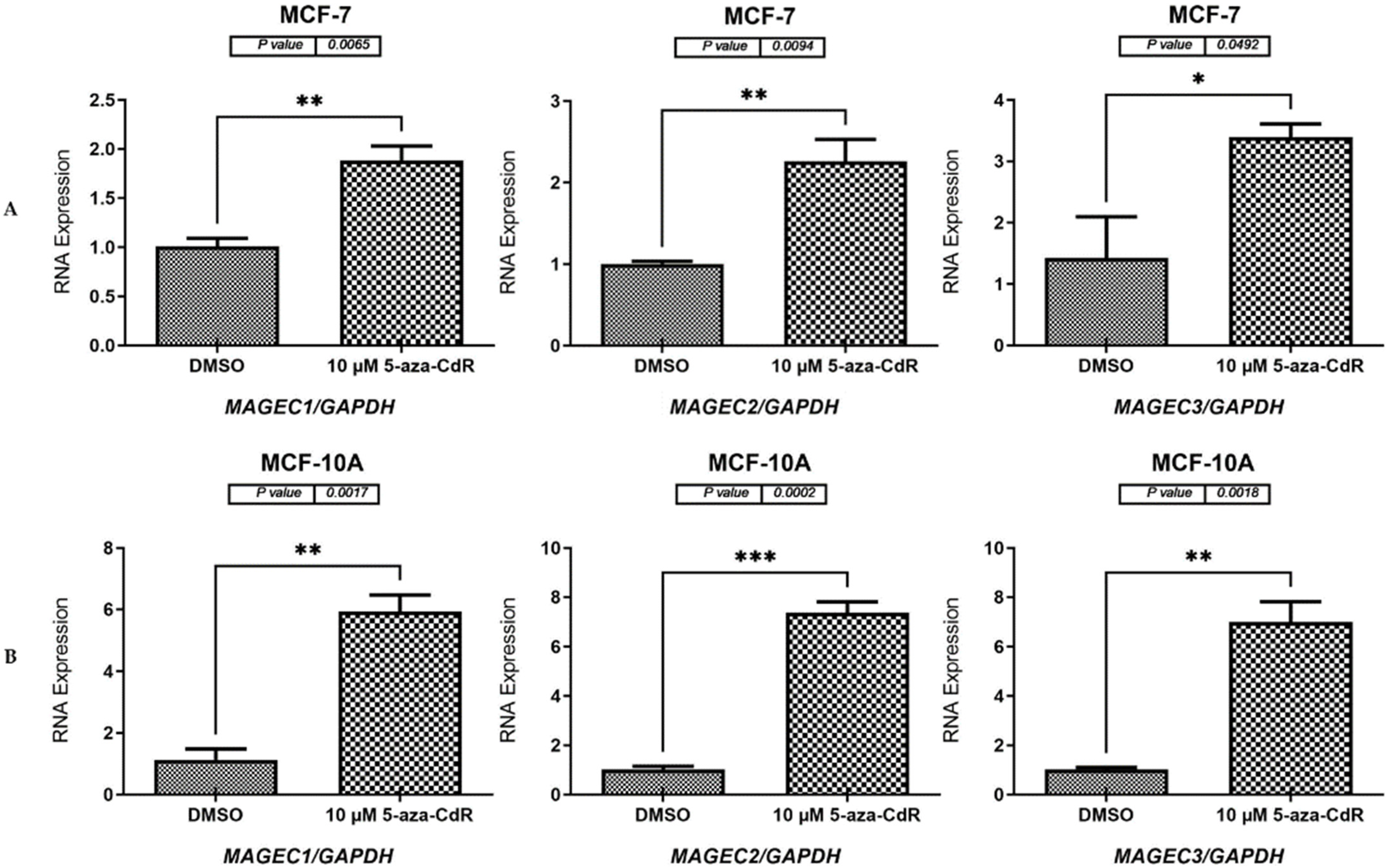 Pharmaceuticals 17 01447 g005