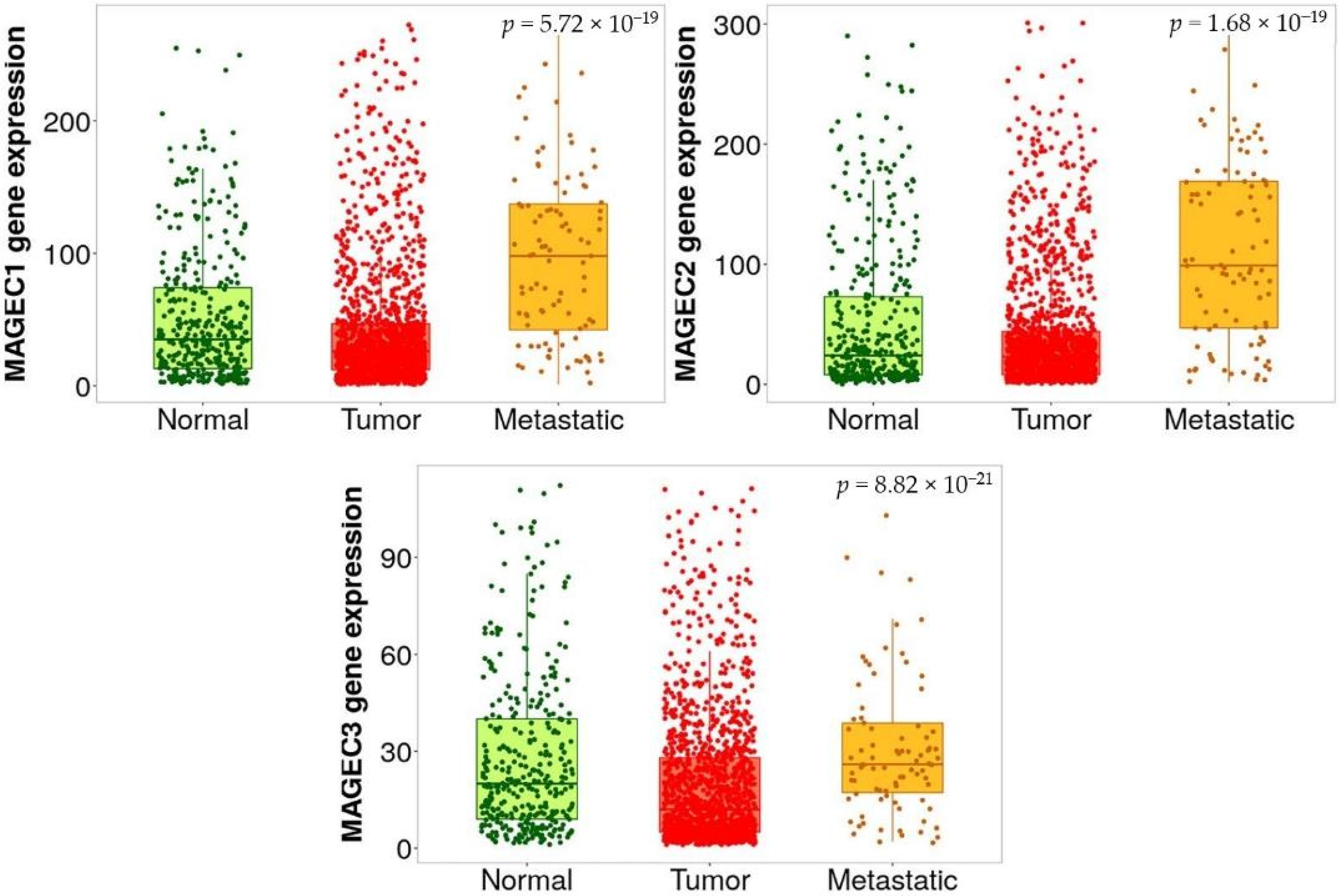 Pharmaceuticals 17 01447 g007