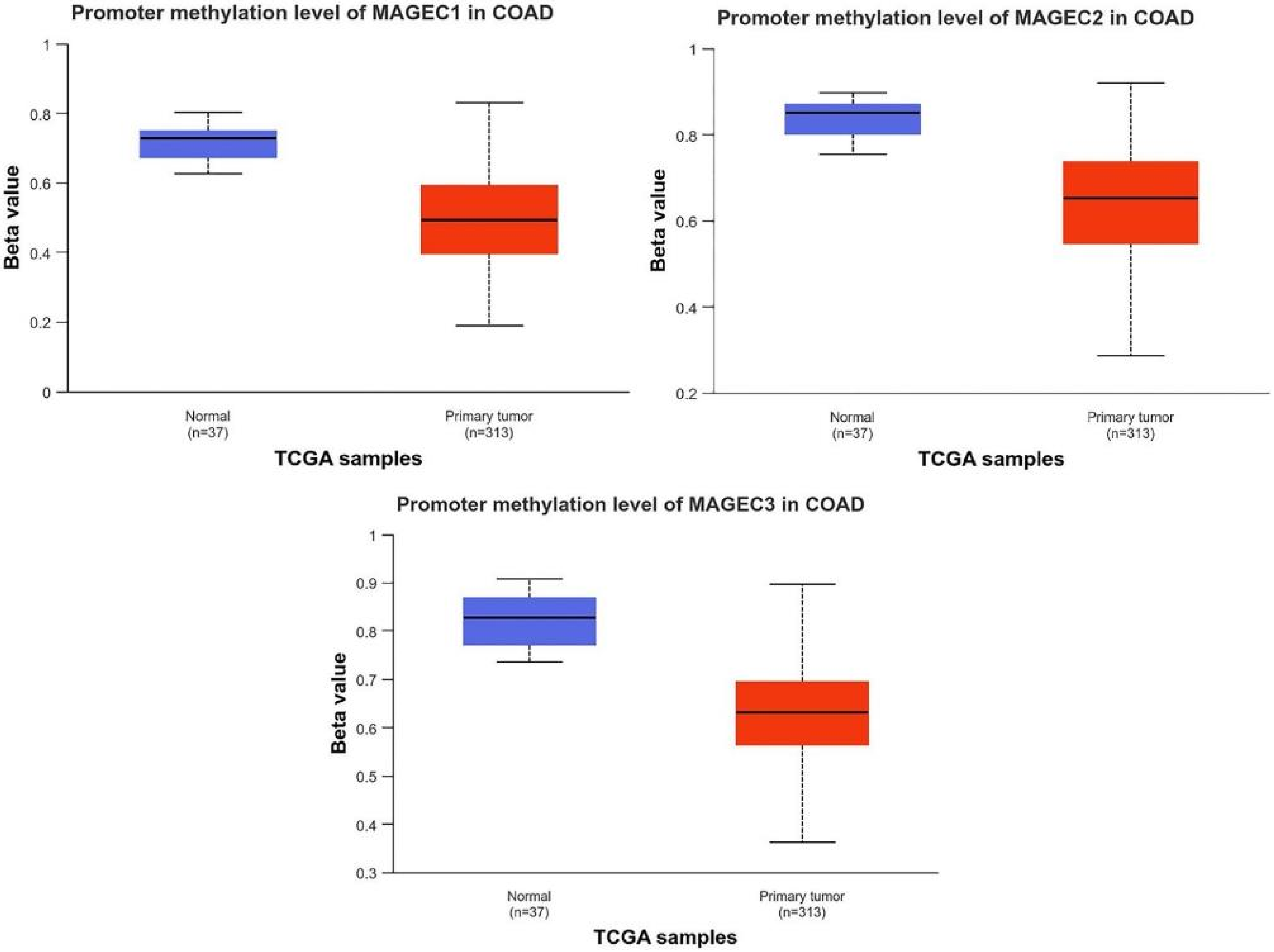 Pharmaceuticals 17 01447 g008
