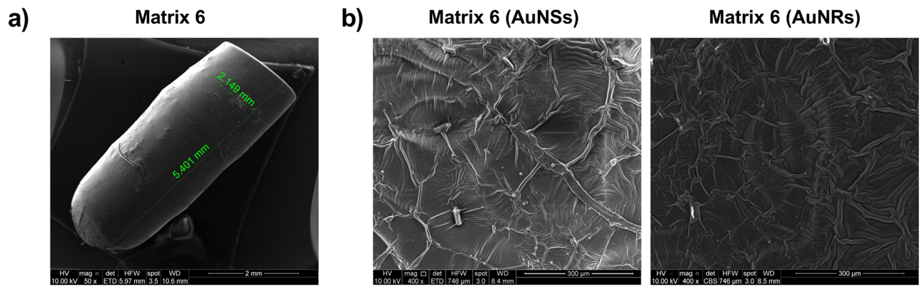 Pharmaceuticals 17 01453 g010