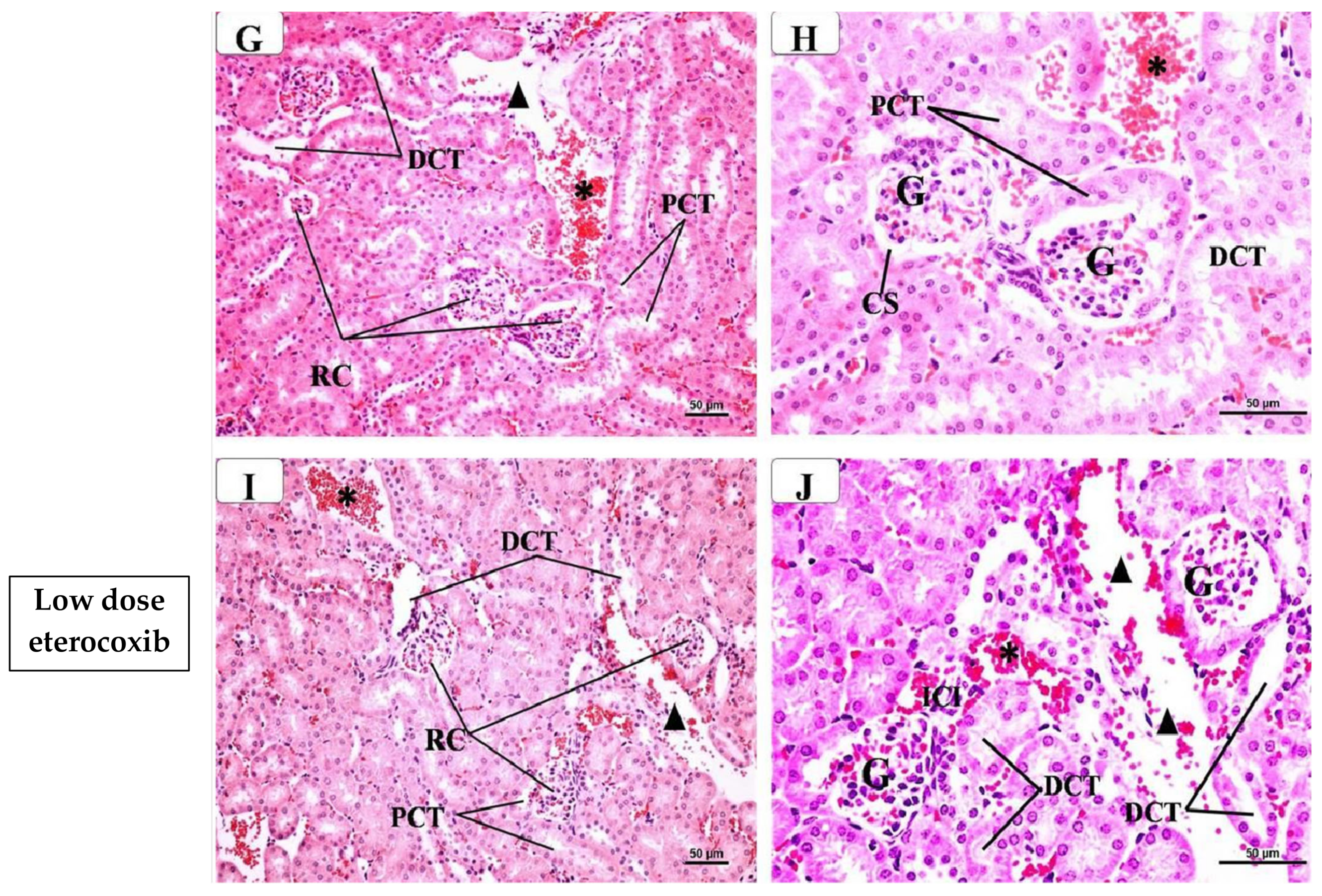 Pharmaceuticals 17 01454 g002b Pharmaceuticals 17 01454 g002b