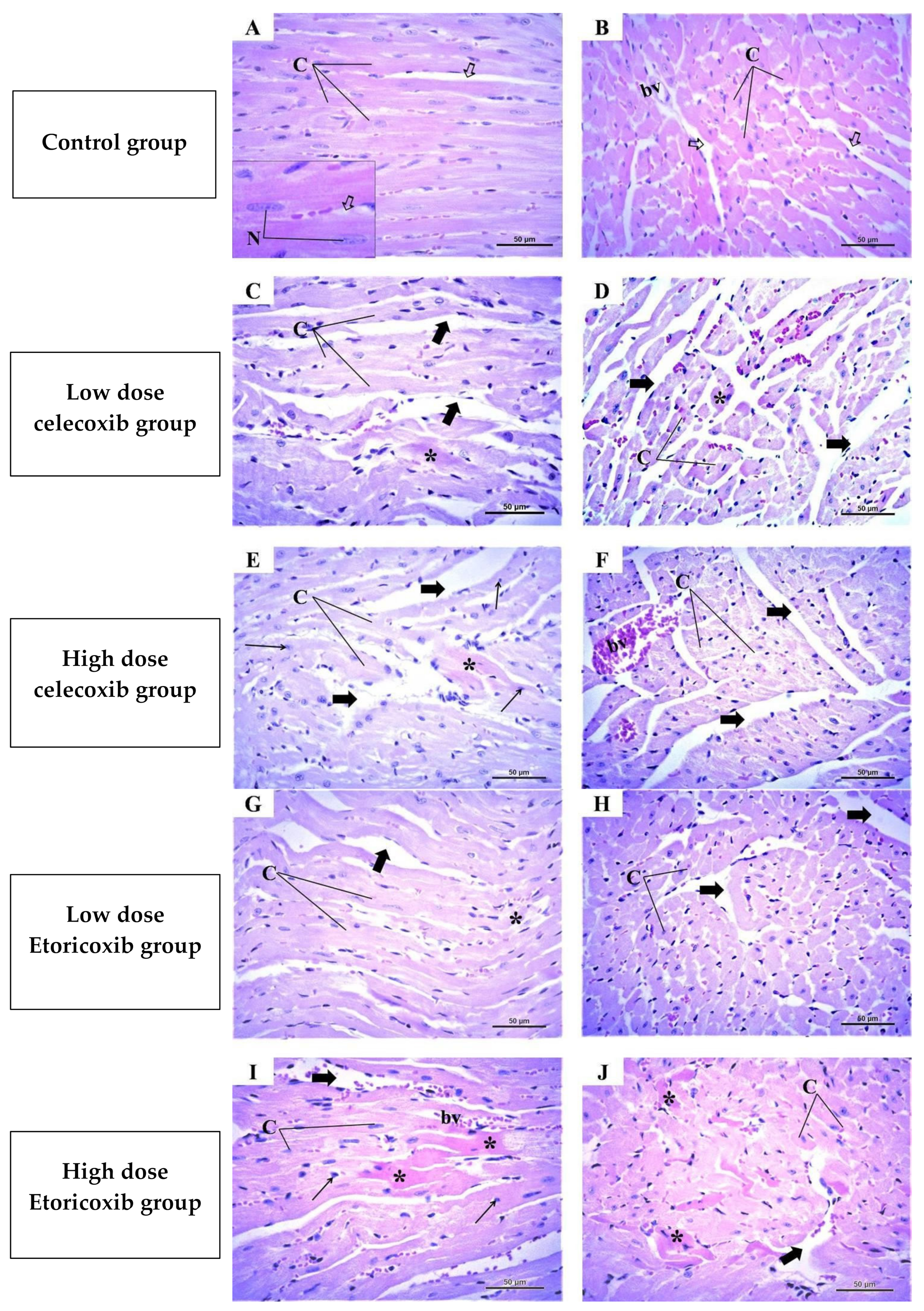 Pharmaceuticals 17 01454 g003 Pharmaceuticals 17 01454 g003