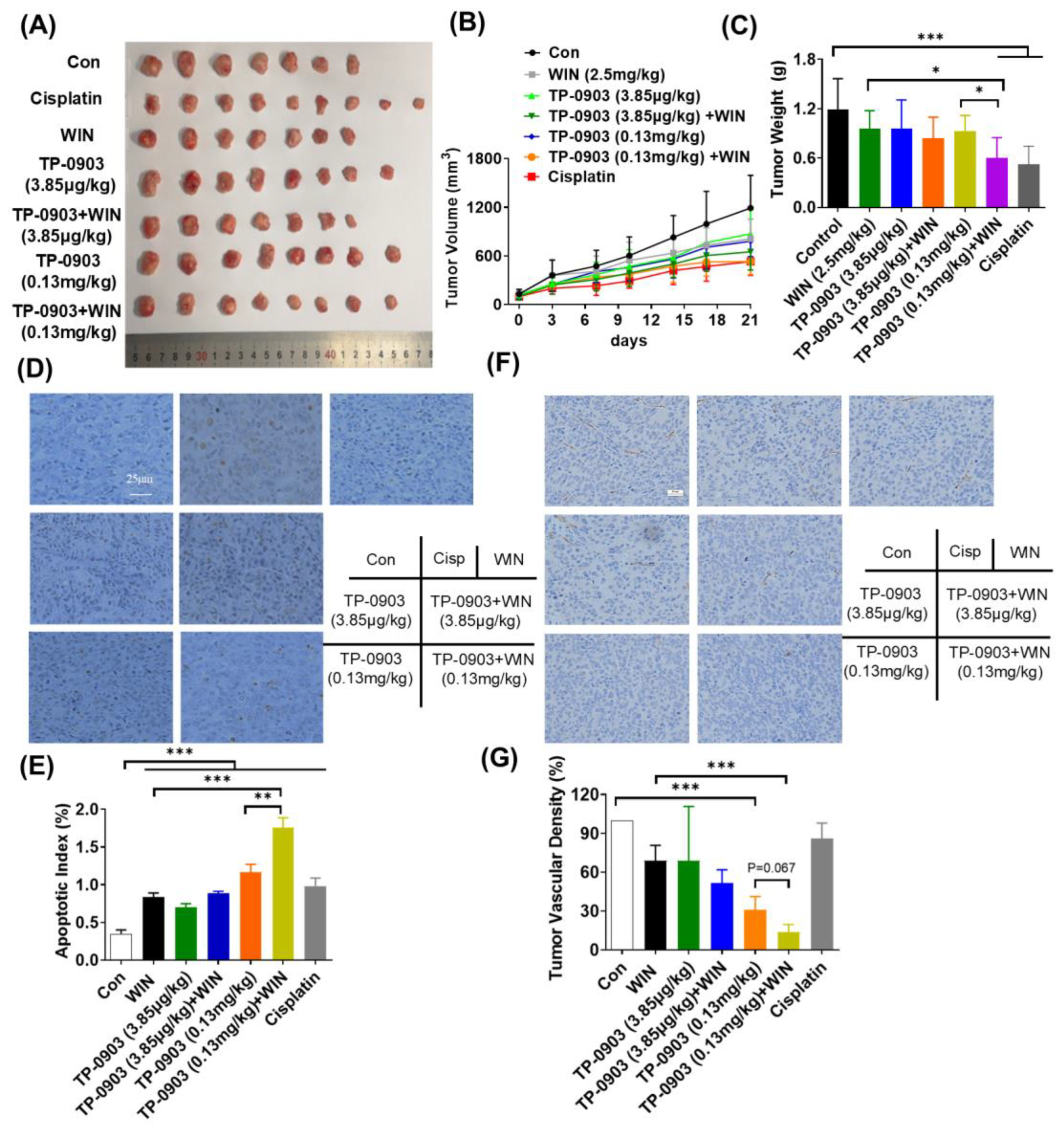 Pharmaceuticals 17 01465 g005