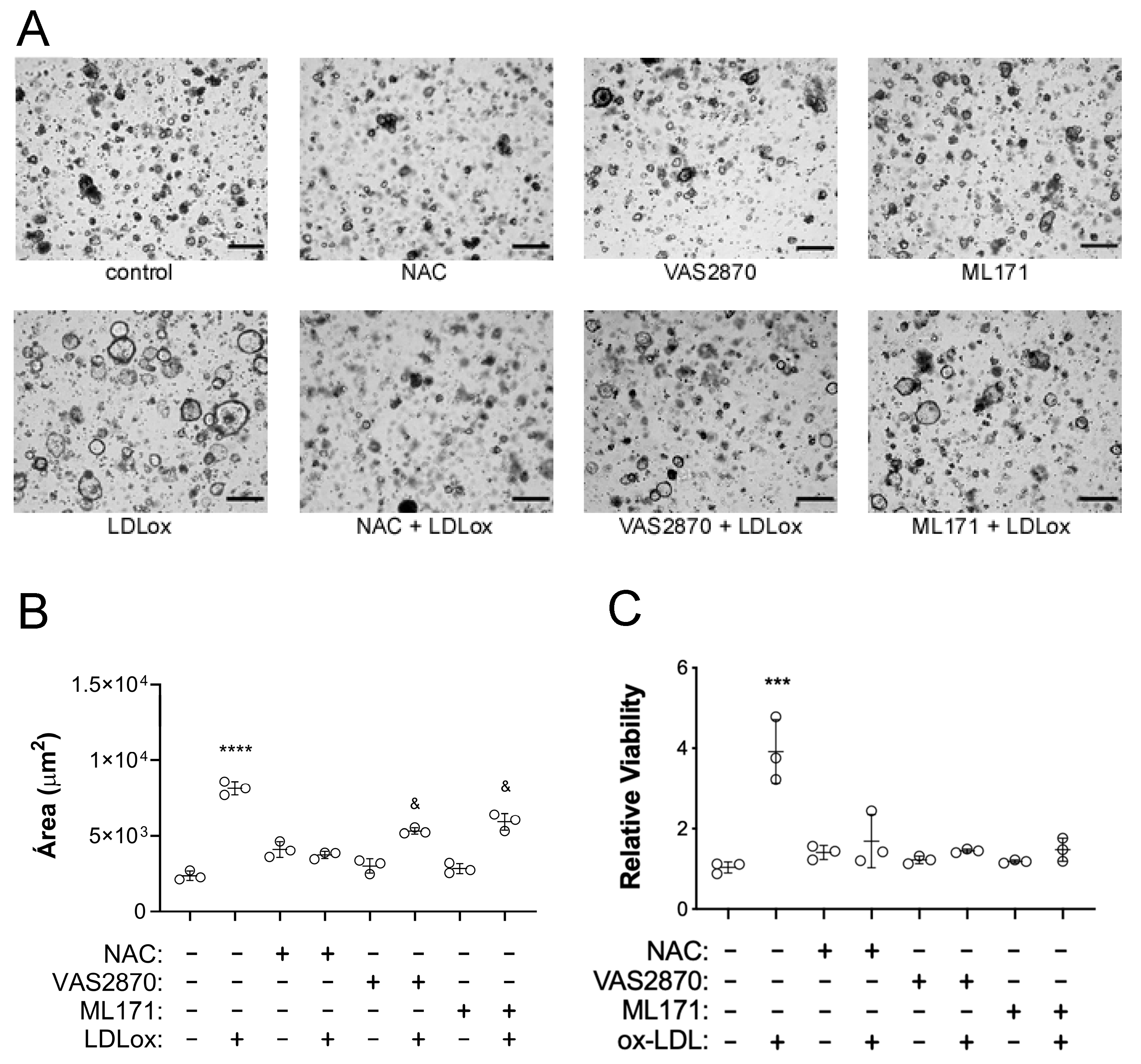 Pharmaceuticals 17 01466 g004 Pharmaceuticals 17 01466 g004