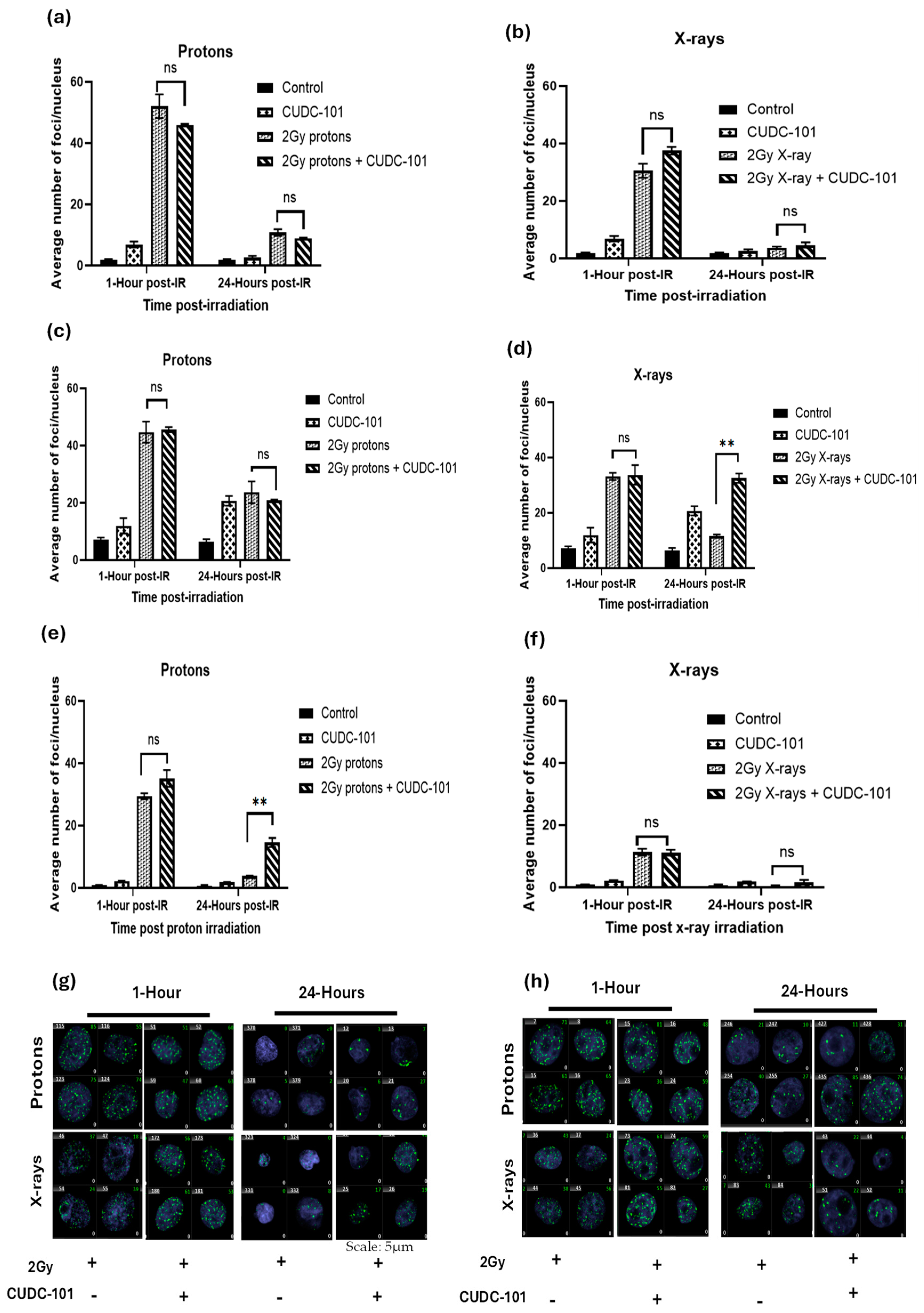 Pharmaceuticals 17 01467 g003