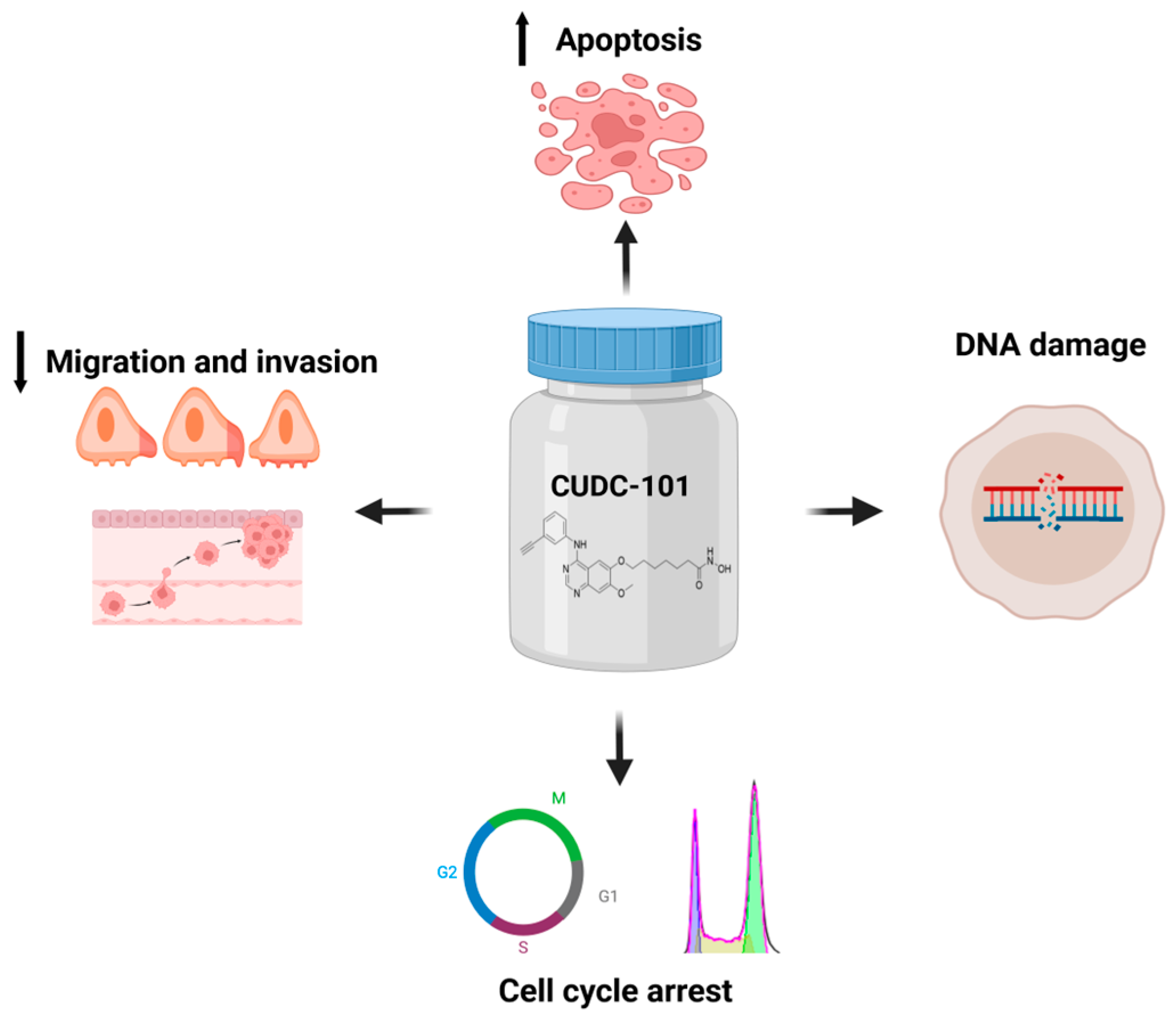 Pharmaceuticals 17 01467 g007