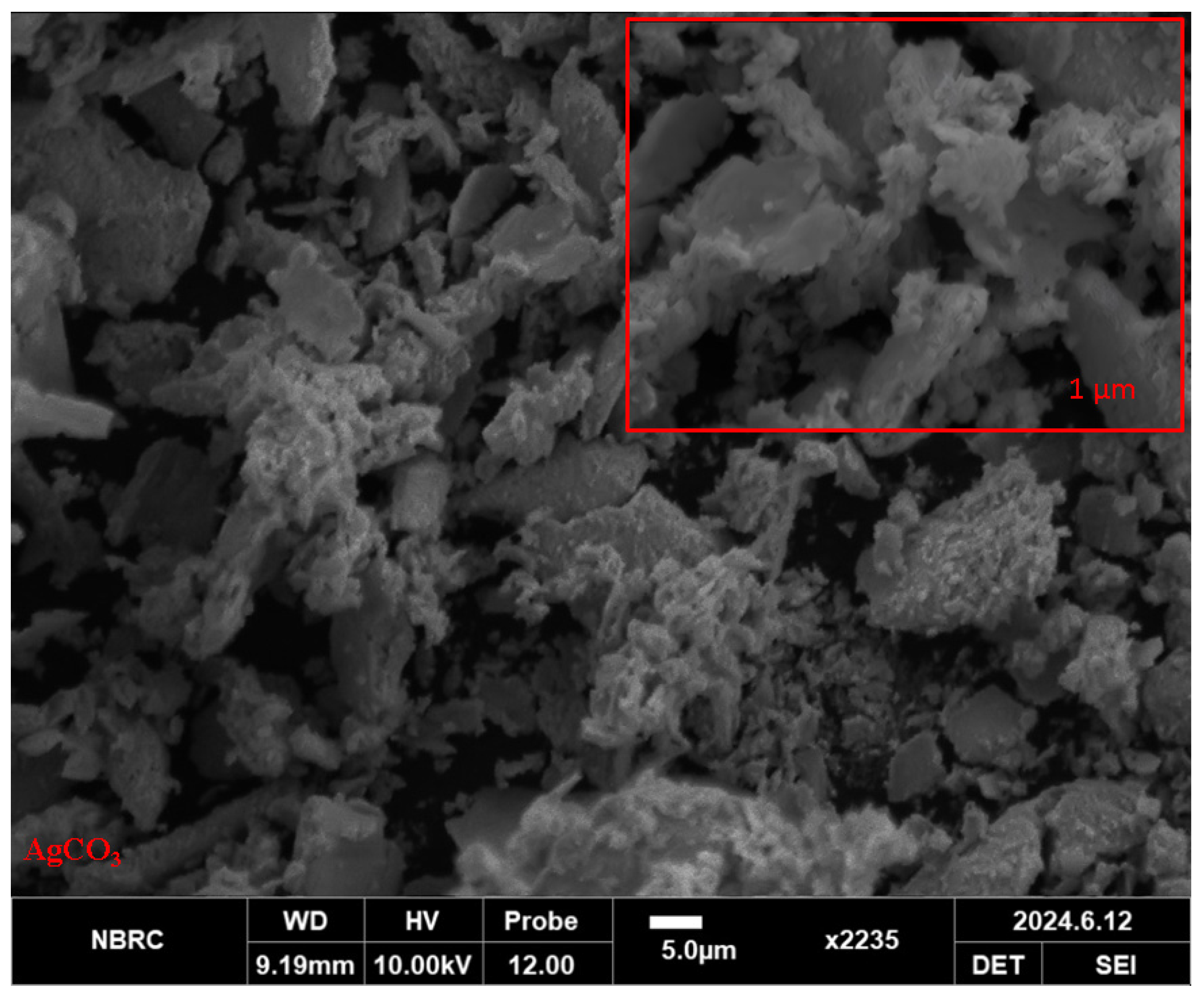 Pharmaceuticals 17 01471 g001