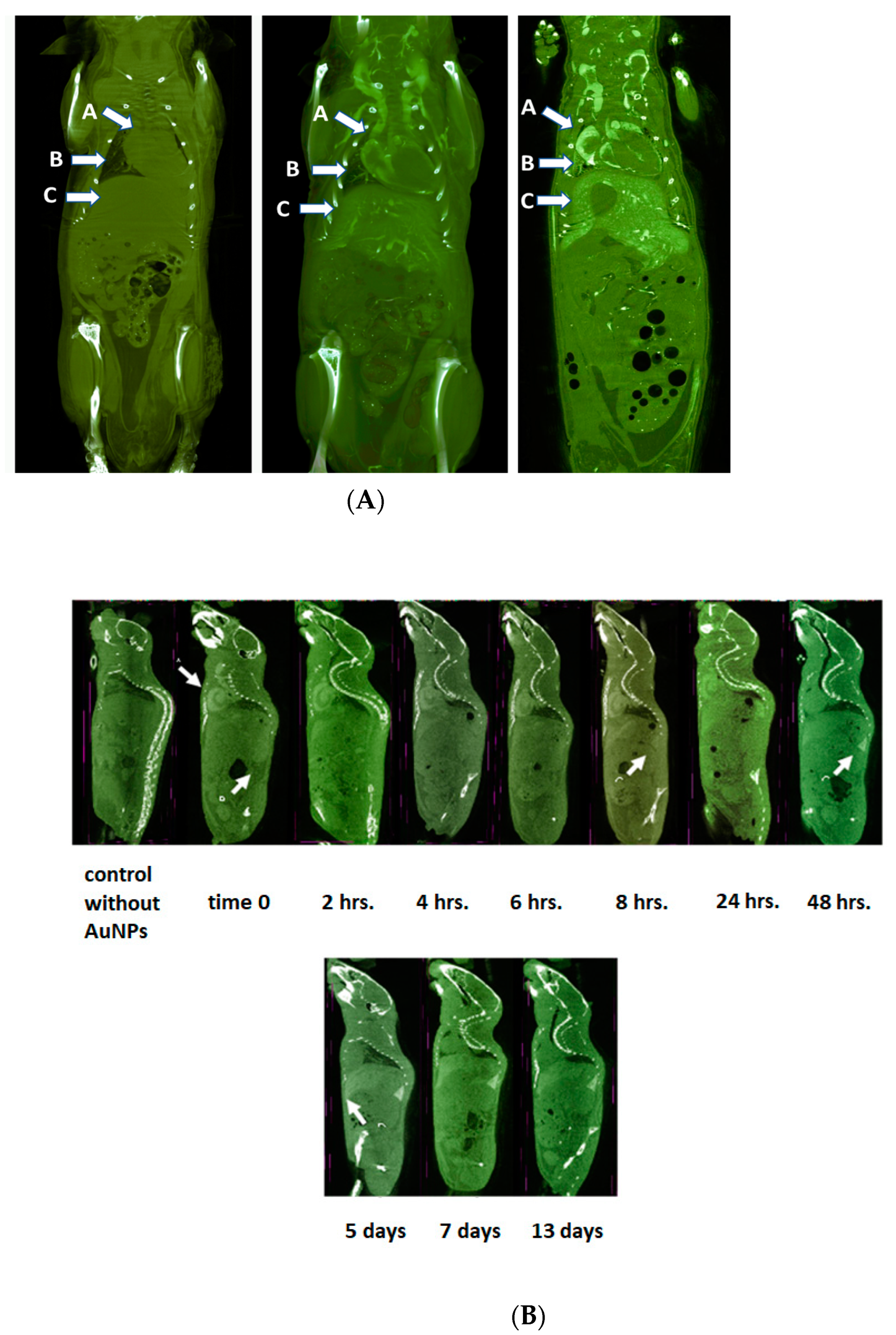 Pharmaceuticals 17 01479 g010a