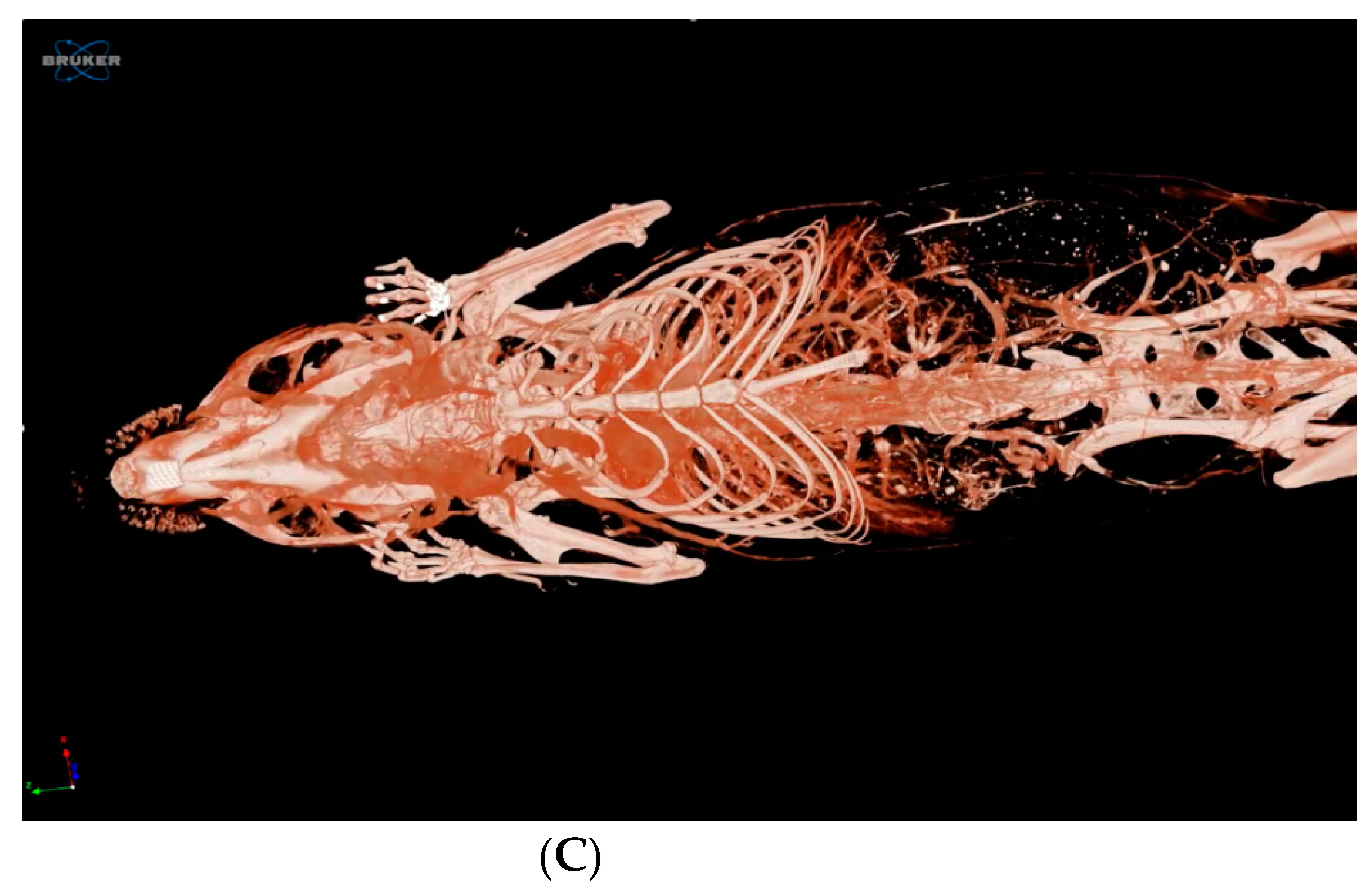 Pharmaceuticals 17 01479 g010b