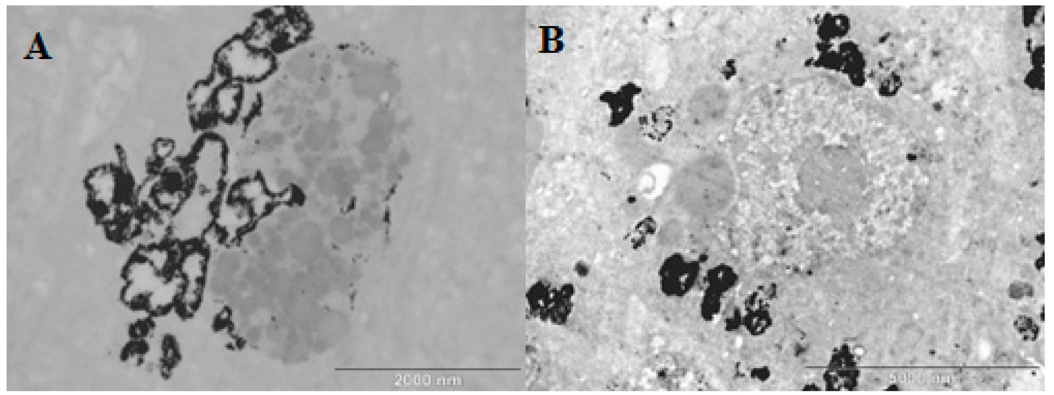 Pharmaceuticals 17 01479 g012