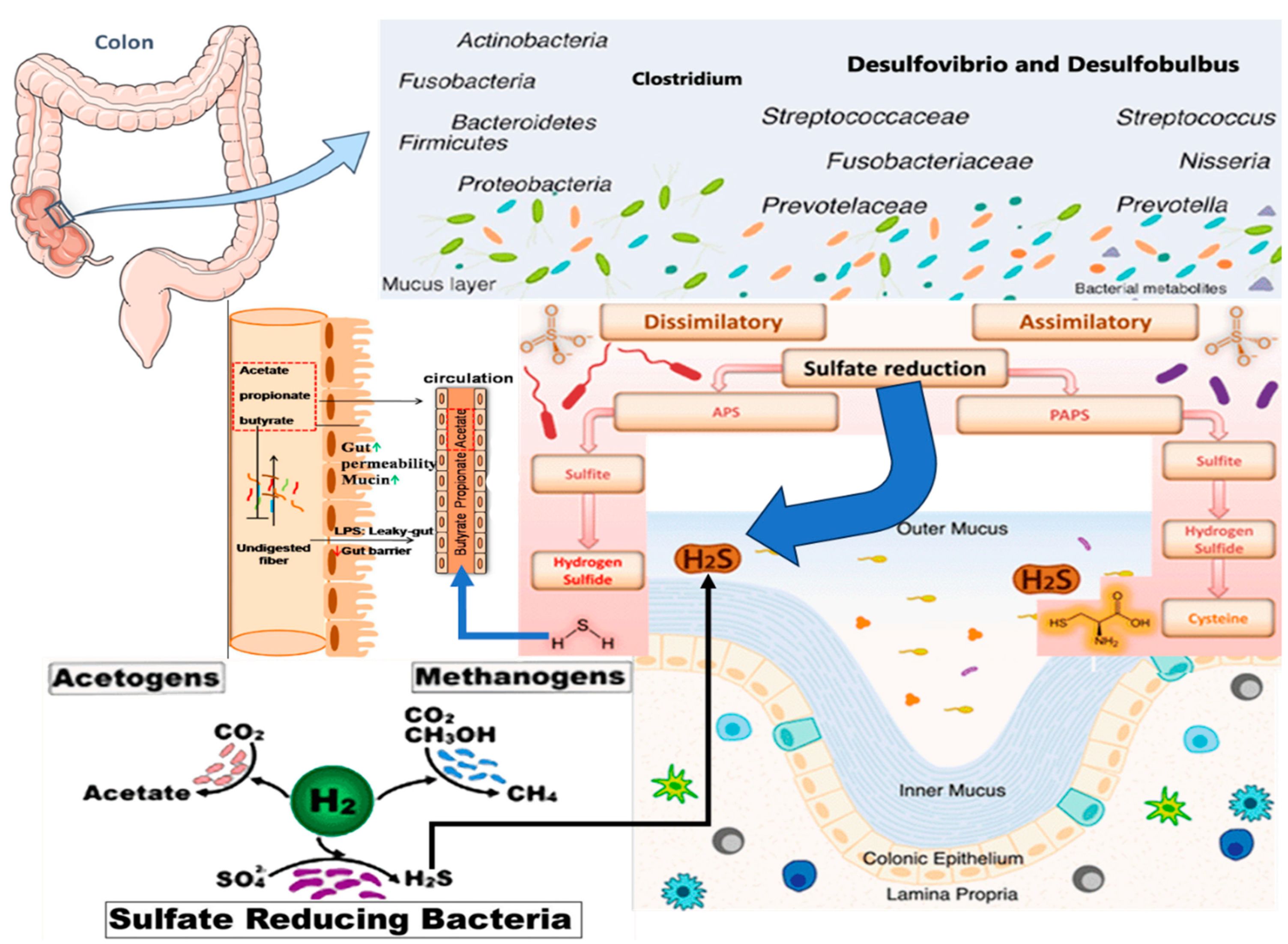 Pharmaceuticals 17 01480 g002