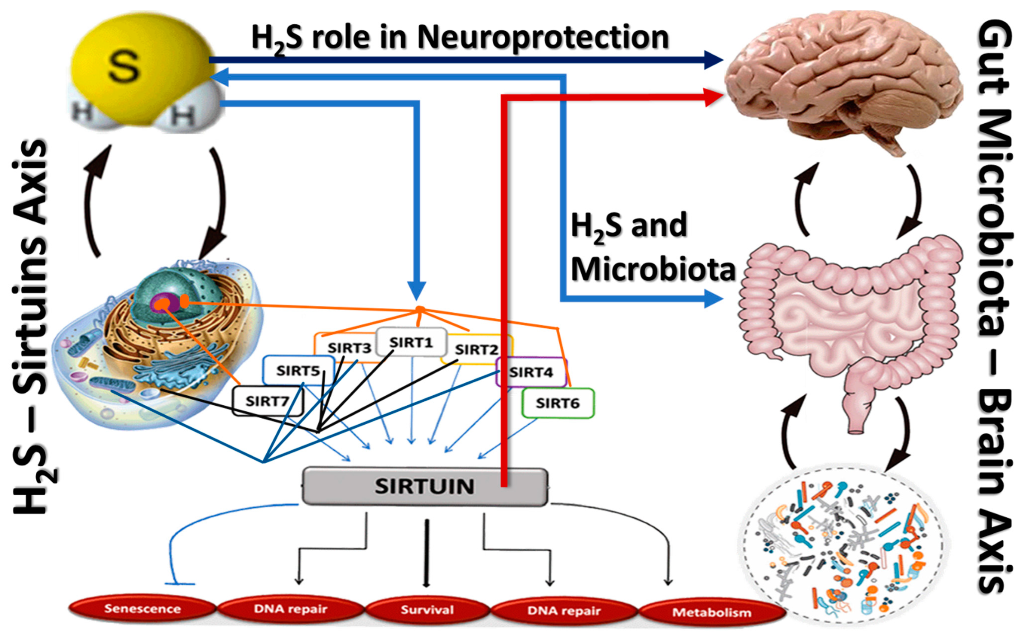 Pharmaceuticals 17 01480 g003
