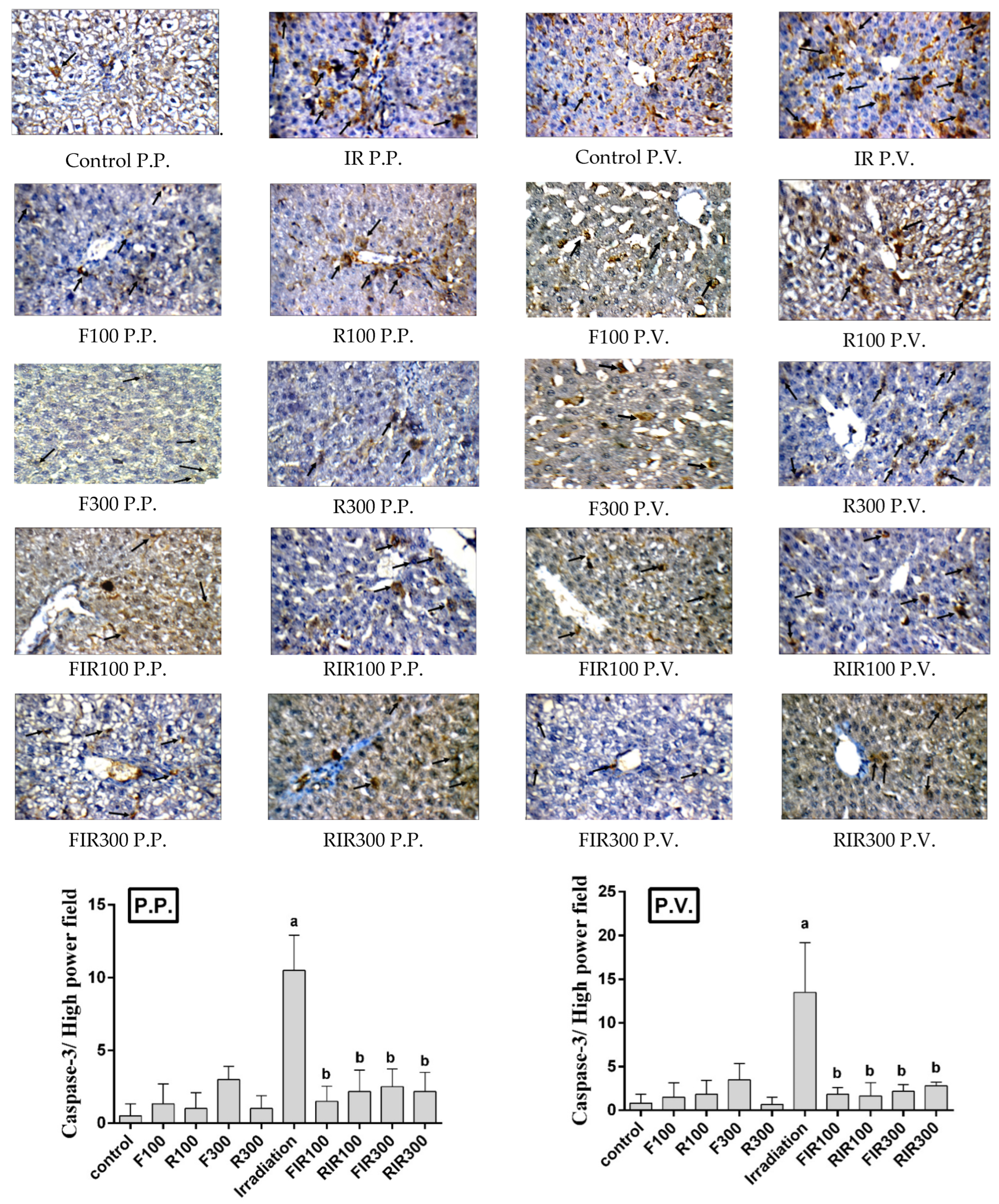 Pharmaceuticals 17 01481 g008