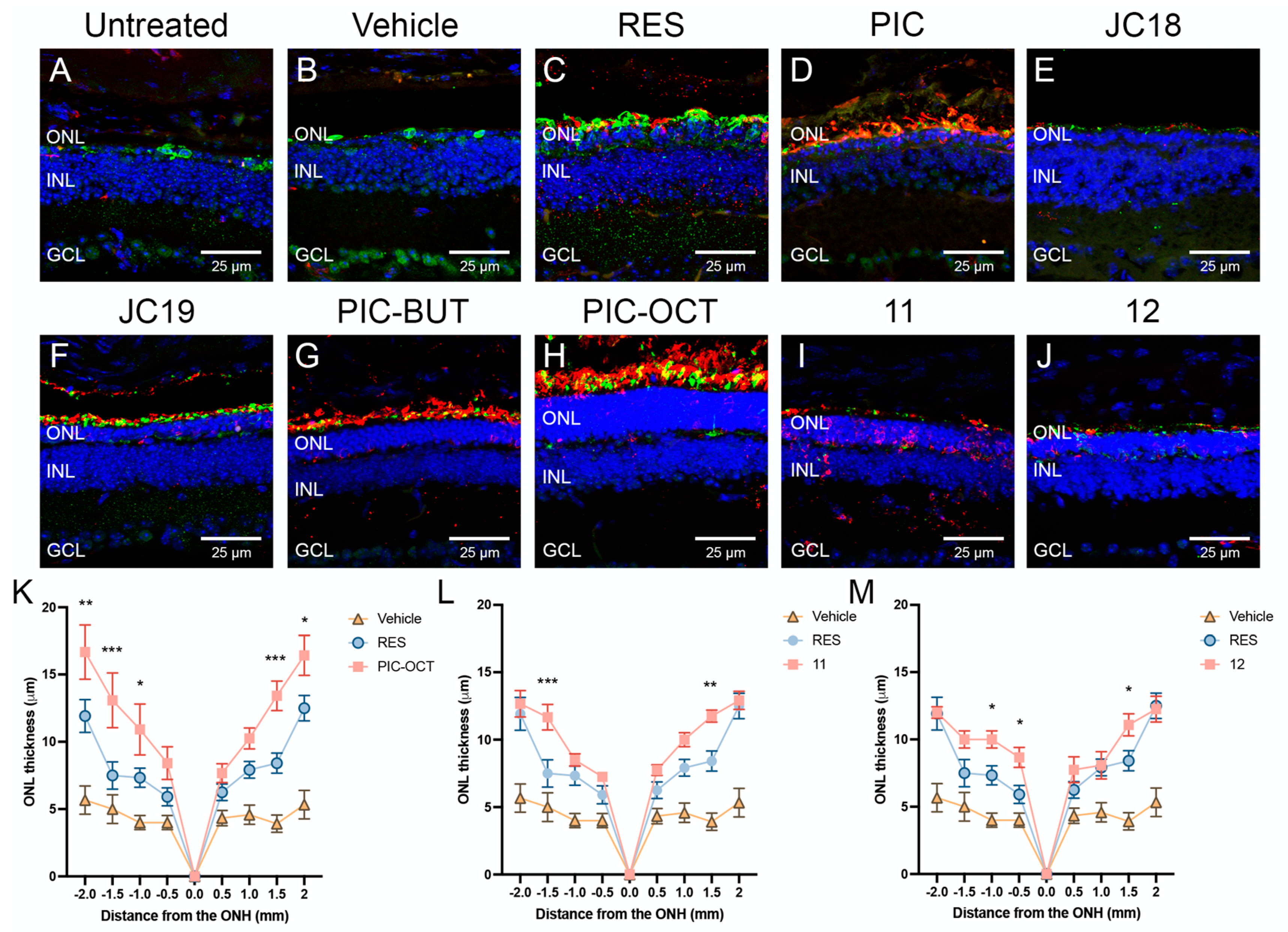 Pharmaceuticals 17 01482 g006