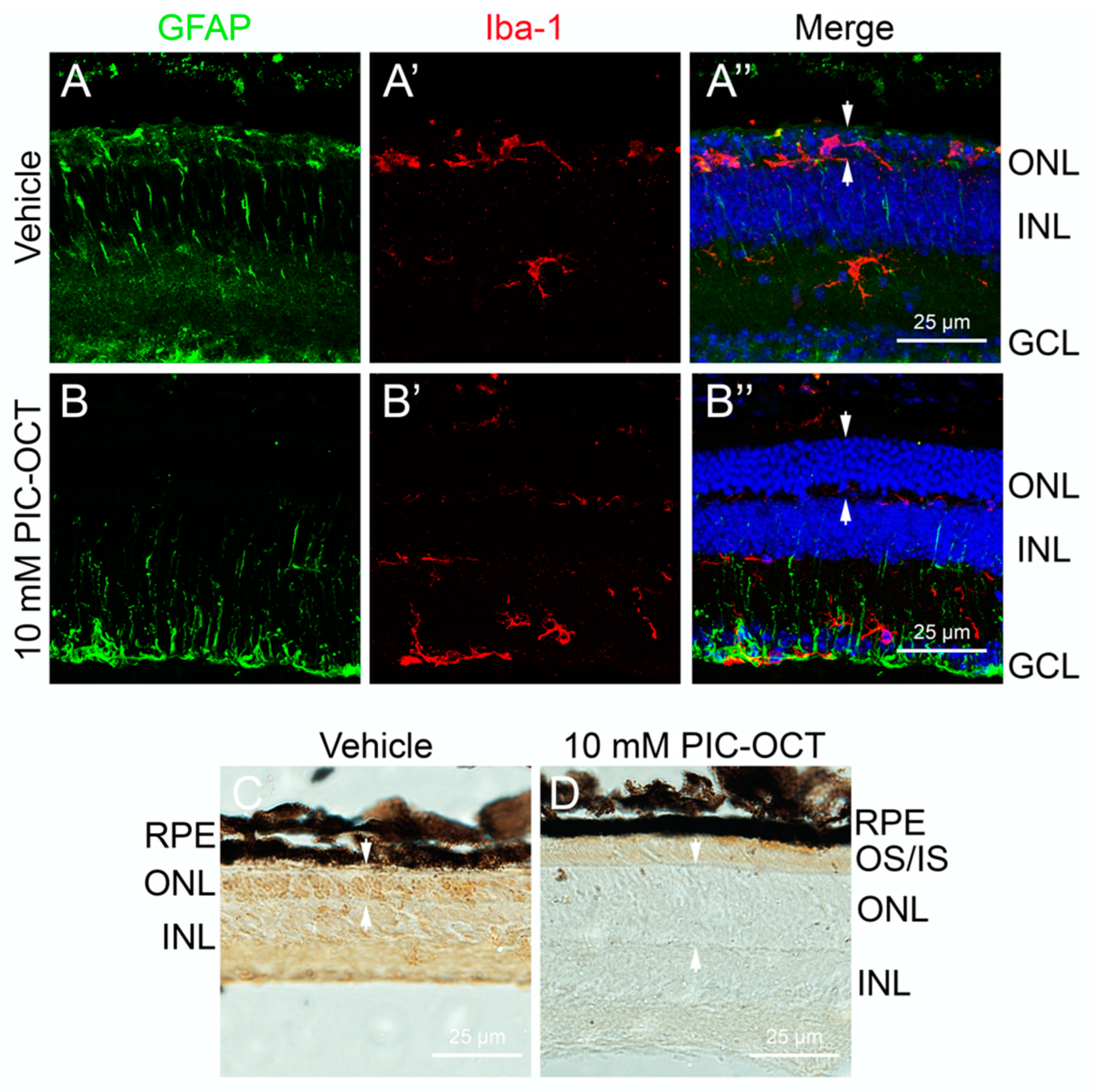 Pharmaceuticals 17 01482 g009
