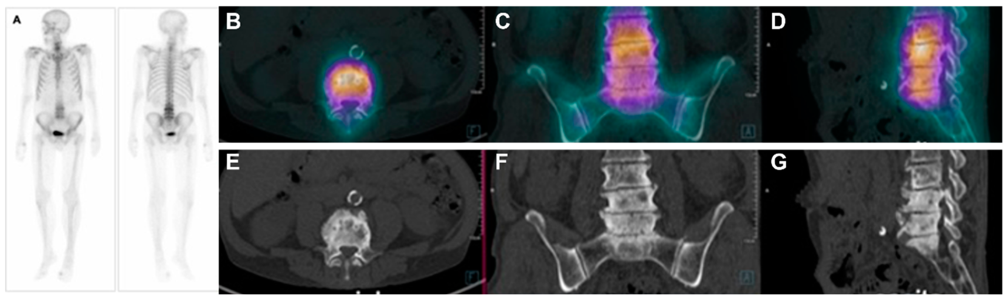 Pharmaceuticals 17 01483 g002