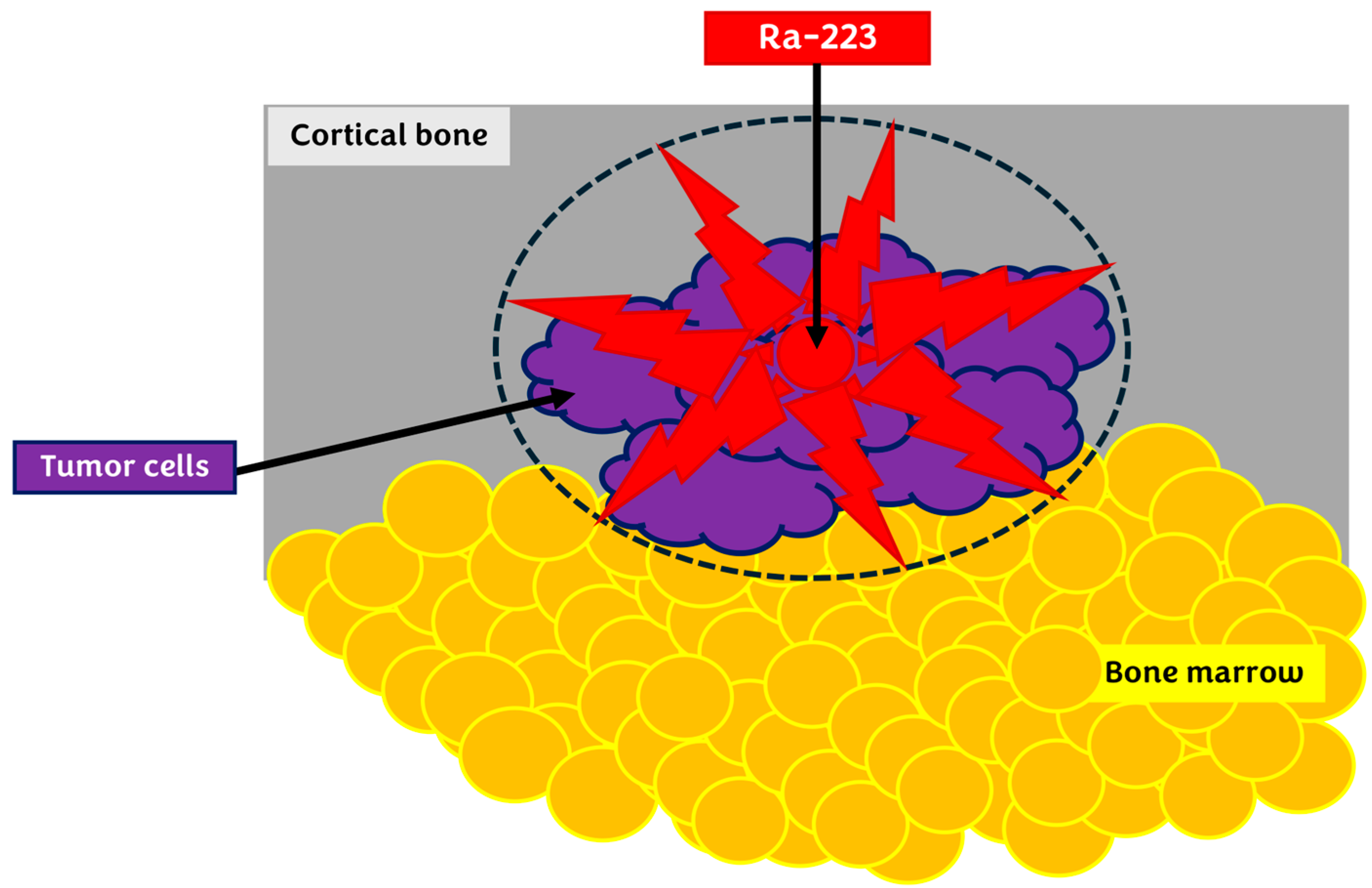 Pharmaceuticals 17 01483 g006