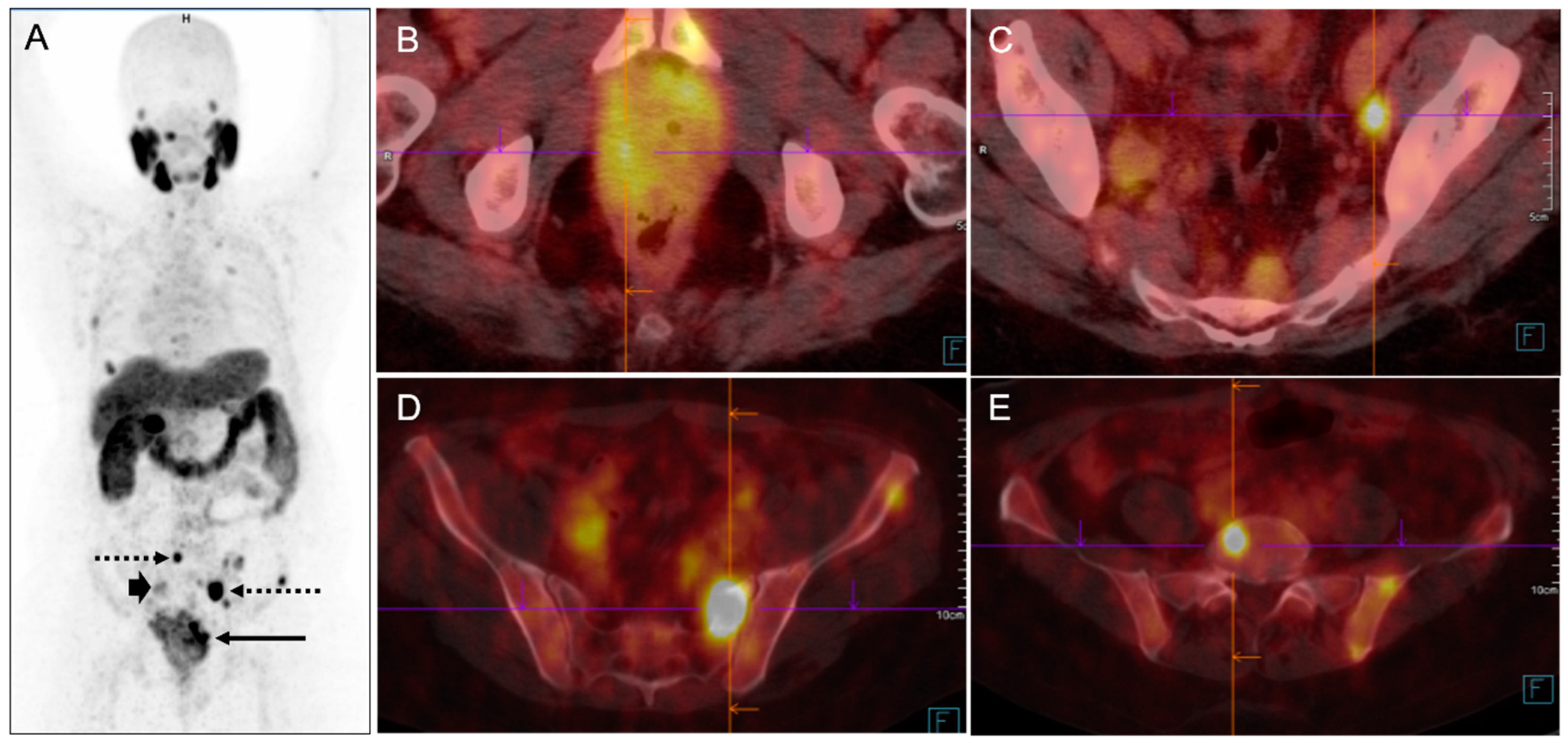 Pharmaceuticals 17 01483 g007