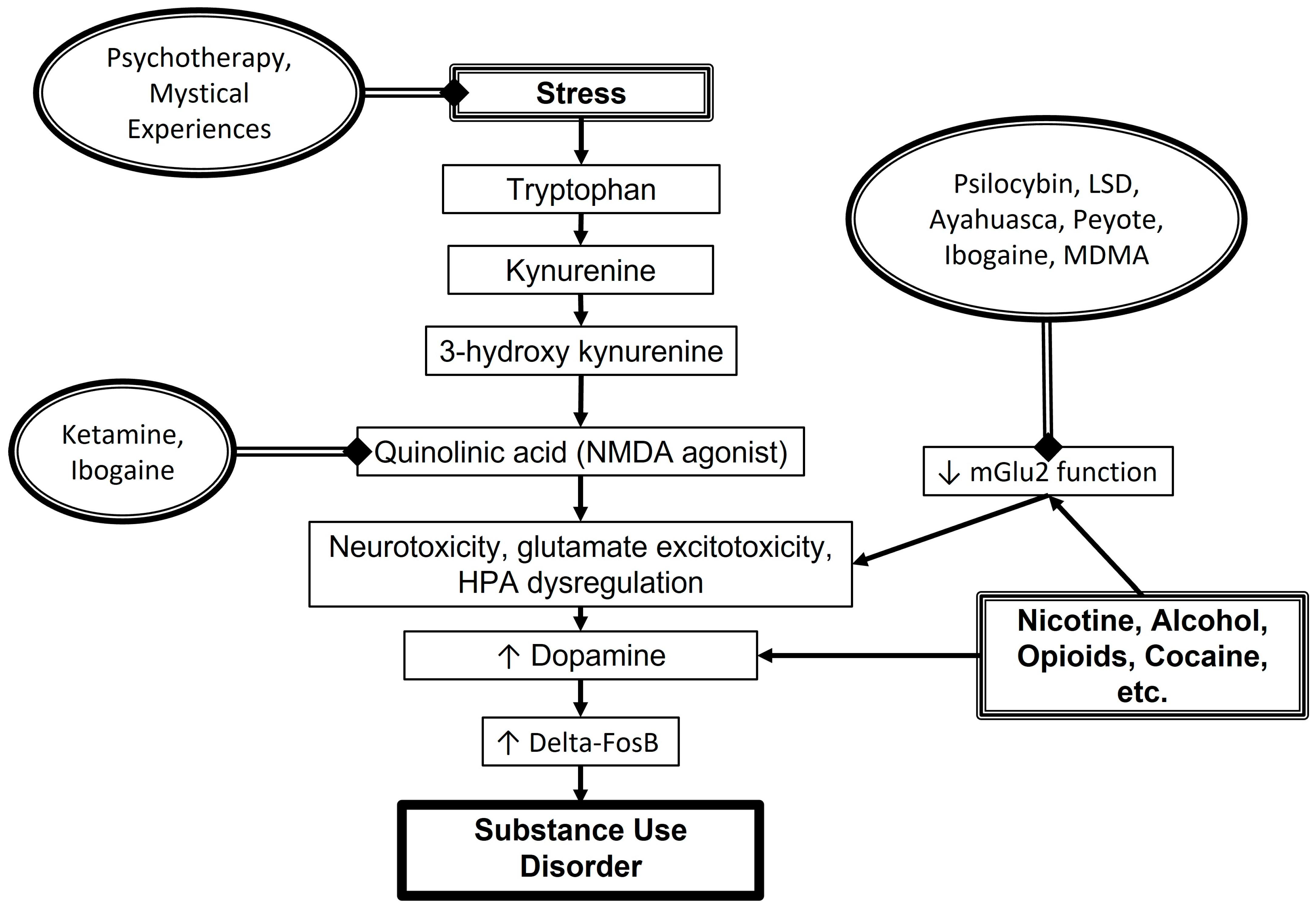 Pharmaceuticals 17 01484 g001