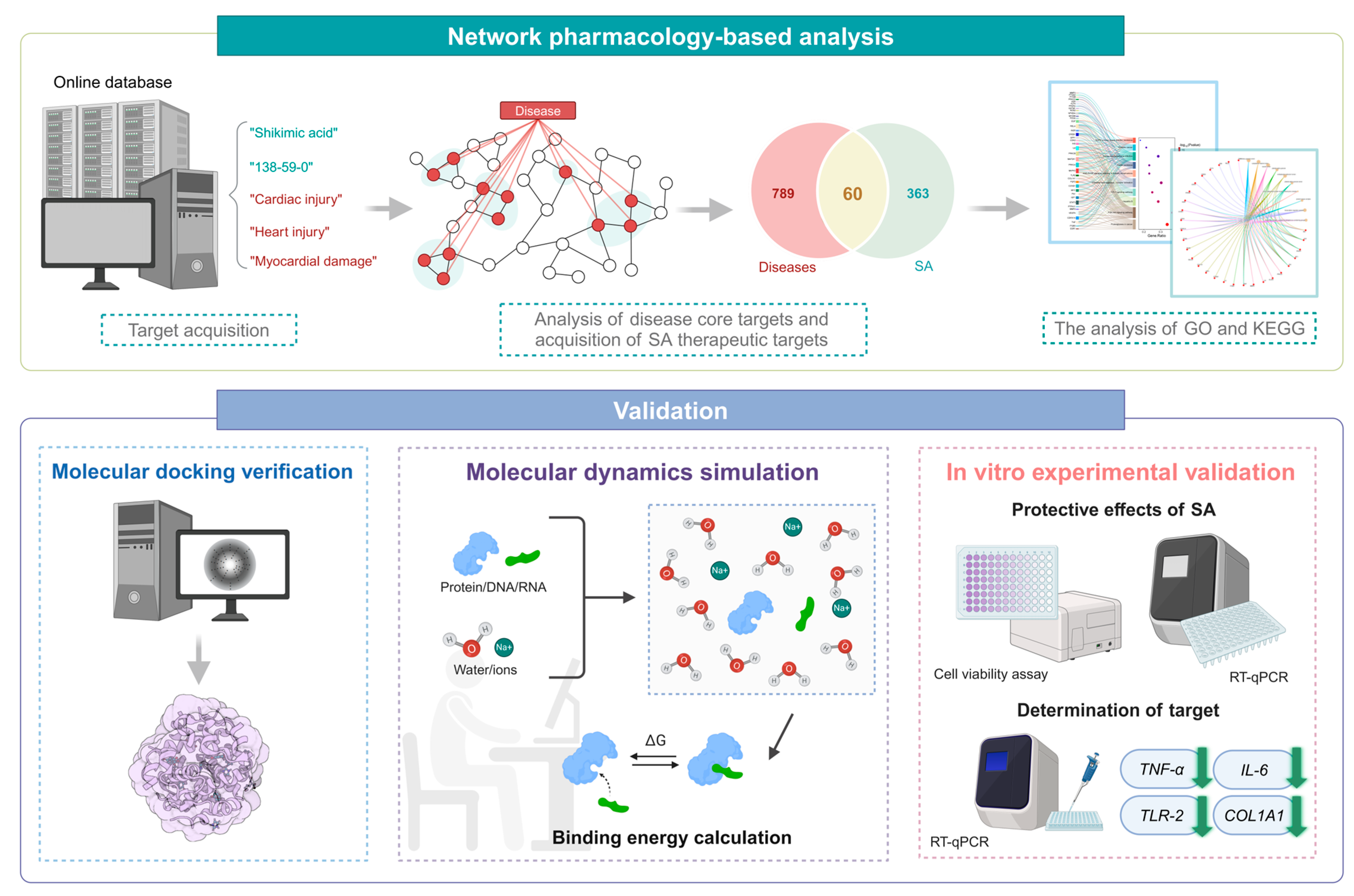 Pharmaceuticals 17 01485 g001