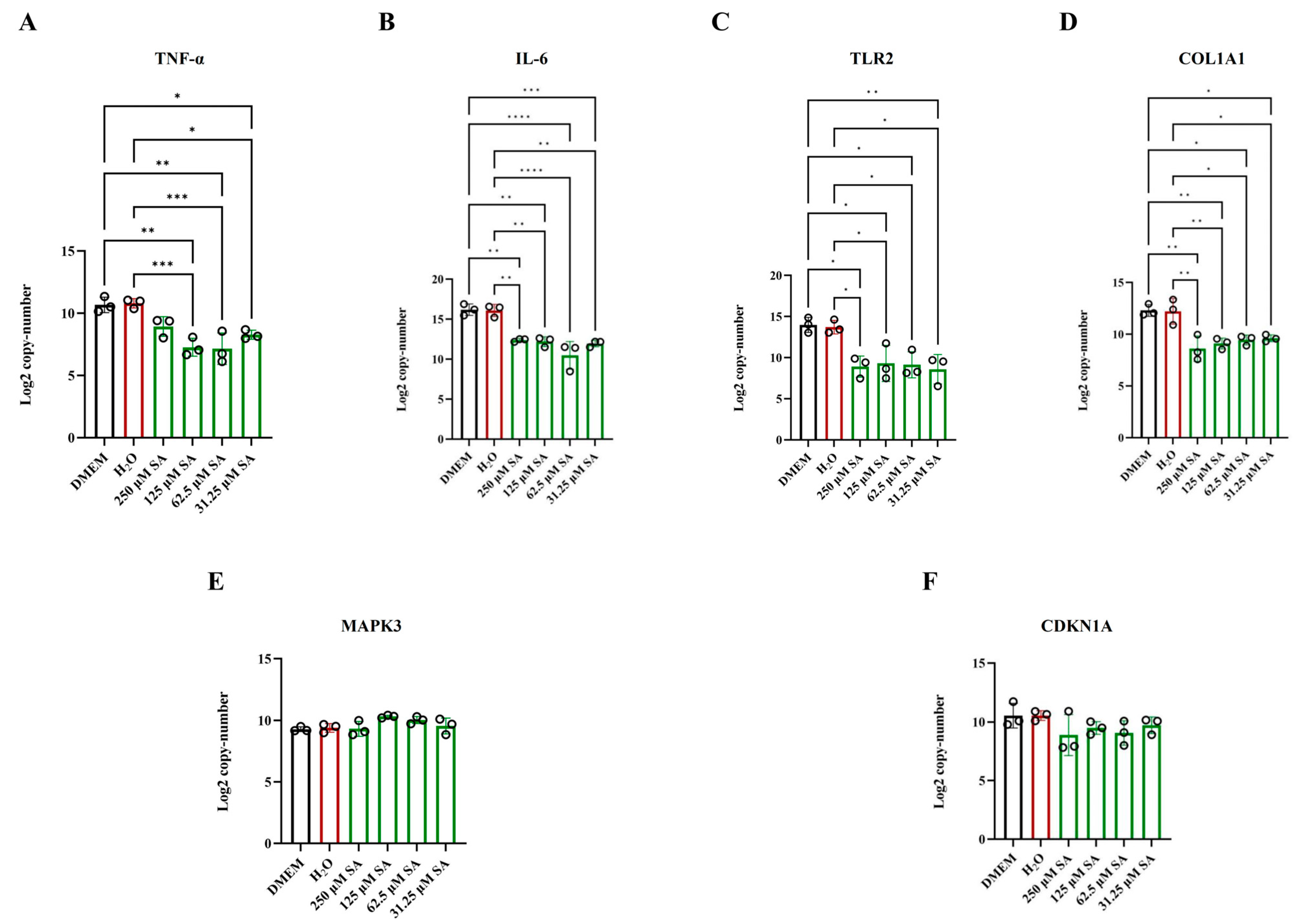Pharmaceuticals 17 01485 g008