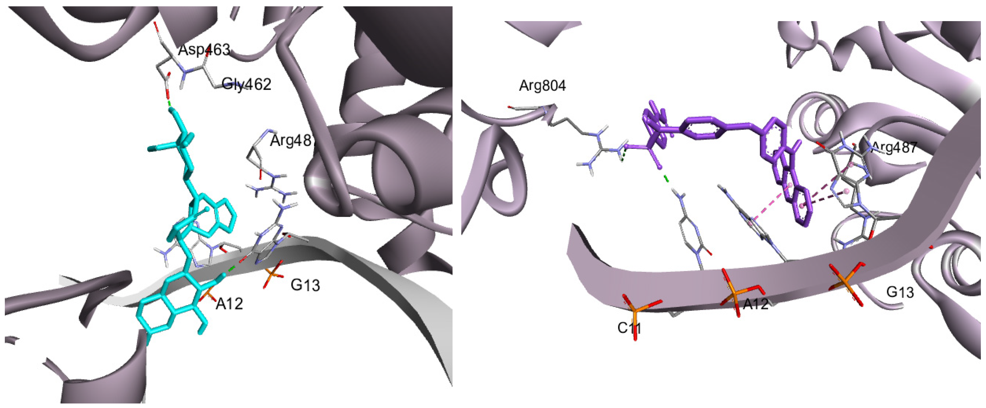 Pharmaceuticals 17 01487 g005